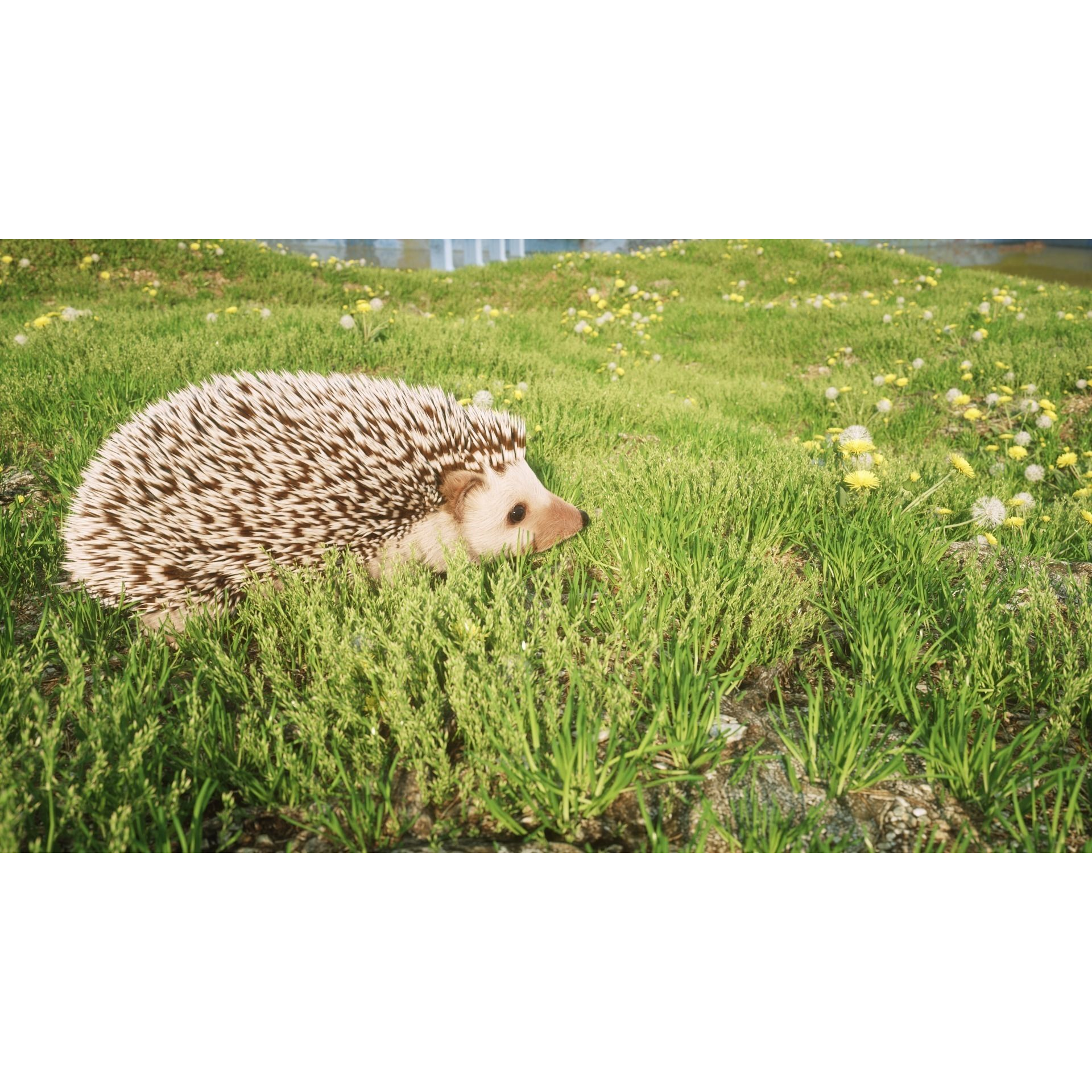 Hedgehog for Vray and Octane 3D model 5