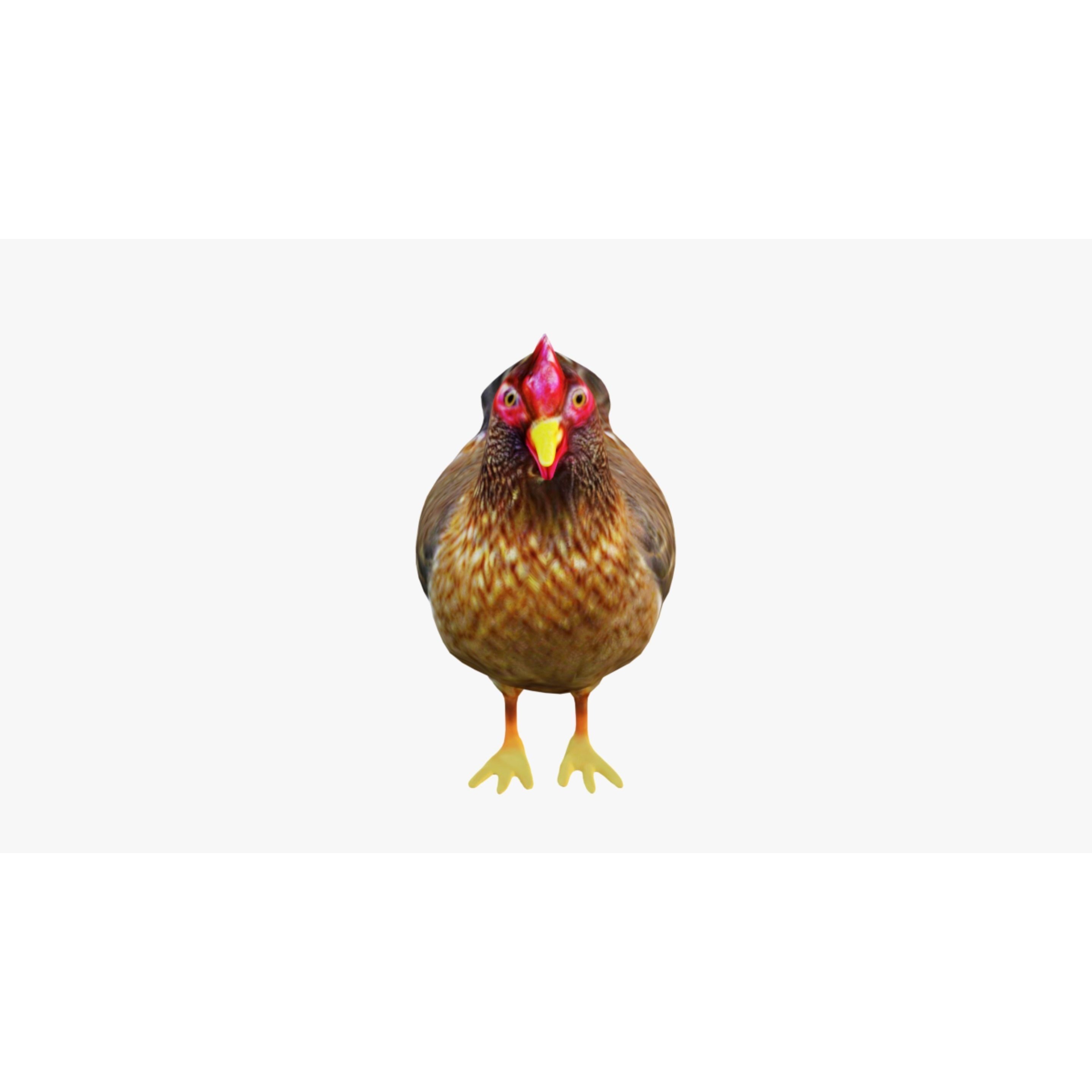 Hen Animal Free 3D model 3