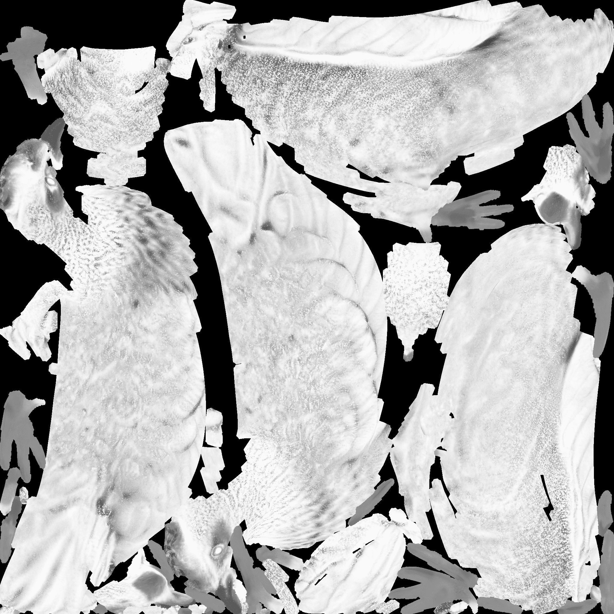 Hen Animal Free 3D model 10