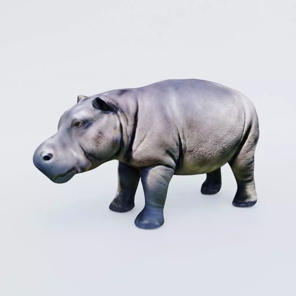 Hippopotamus Free 3D model