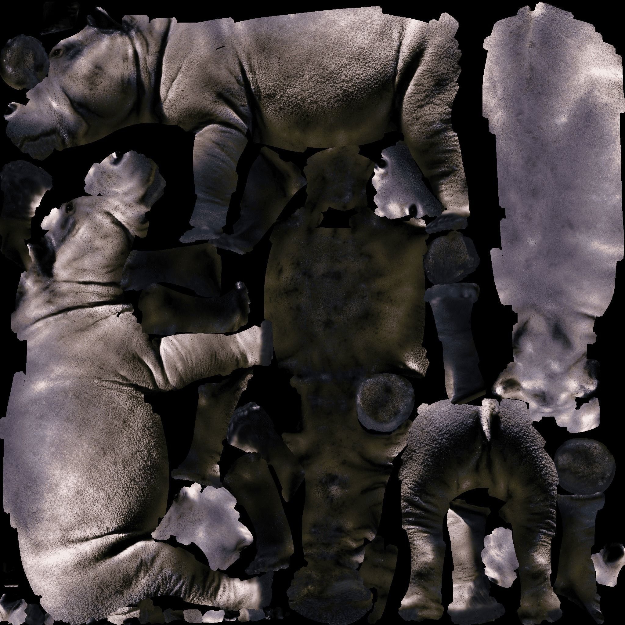 Hippopotamus Free 3D model 8