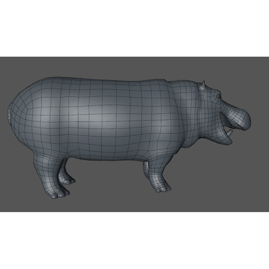 Hippopotamus Rigged 3D model 10