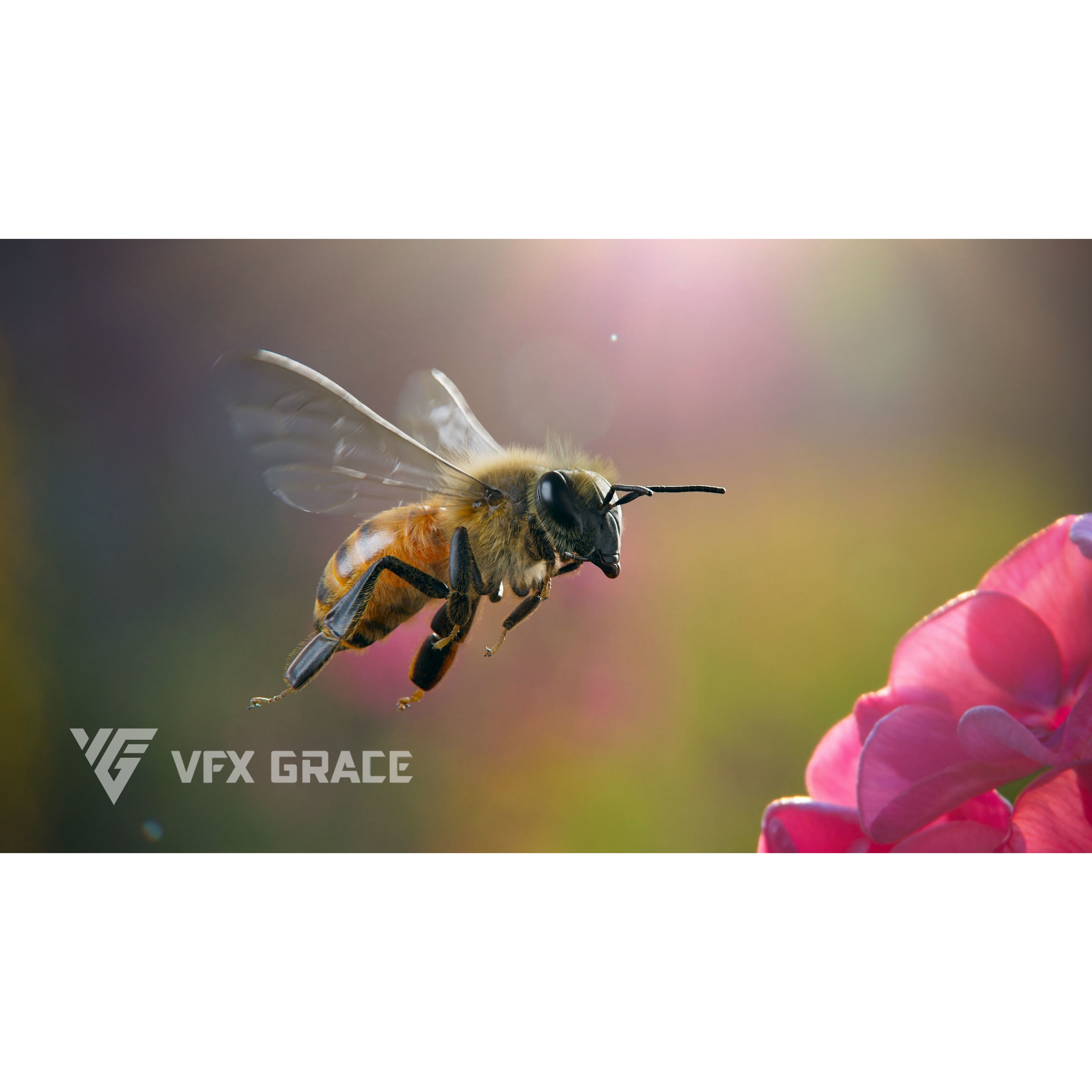 Honey bee Rig - MAYA 3D model 2