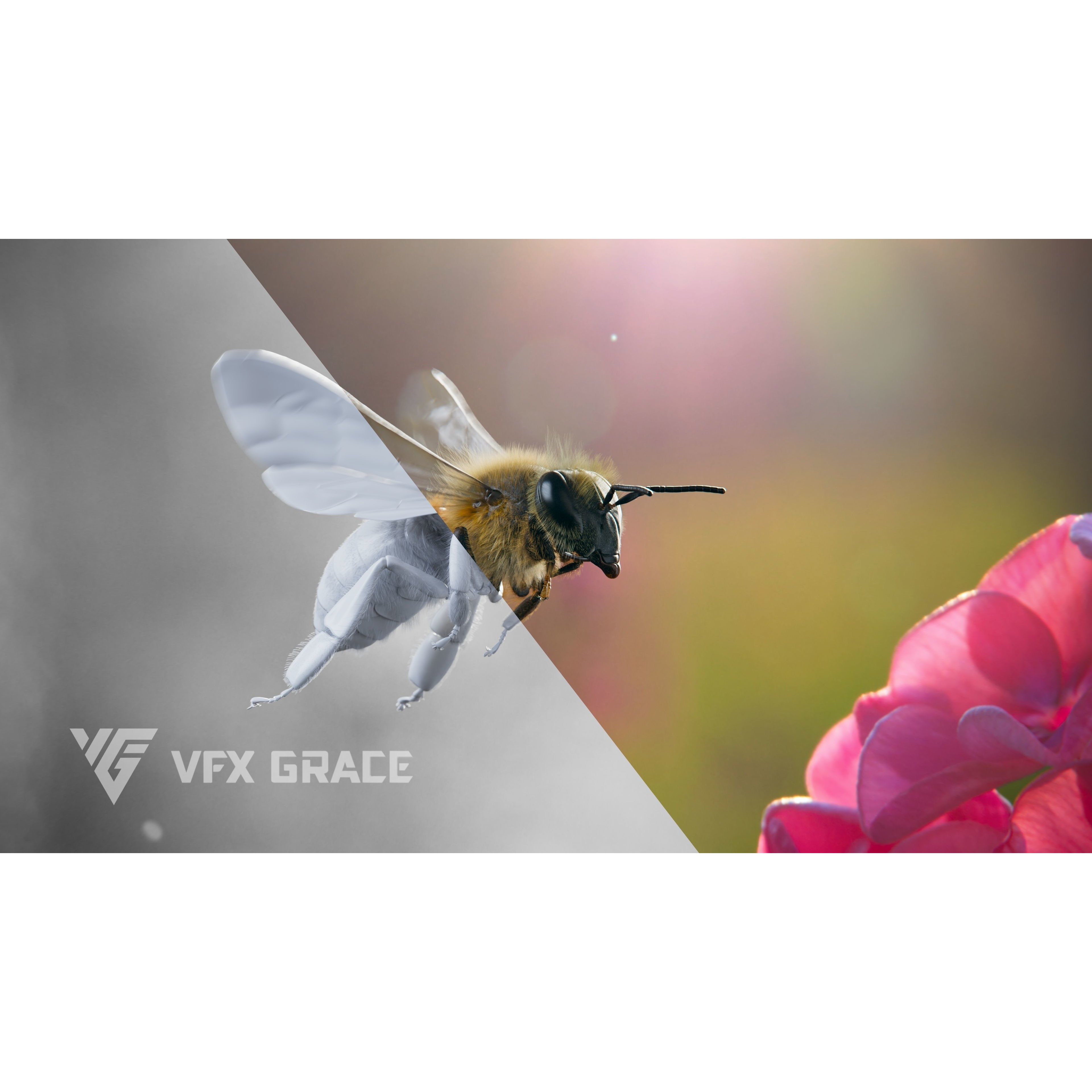 Honey bee Rig - MAYA 3D model 3