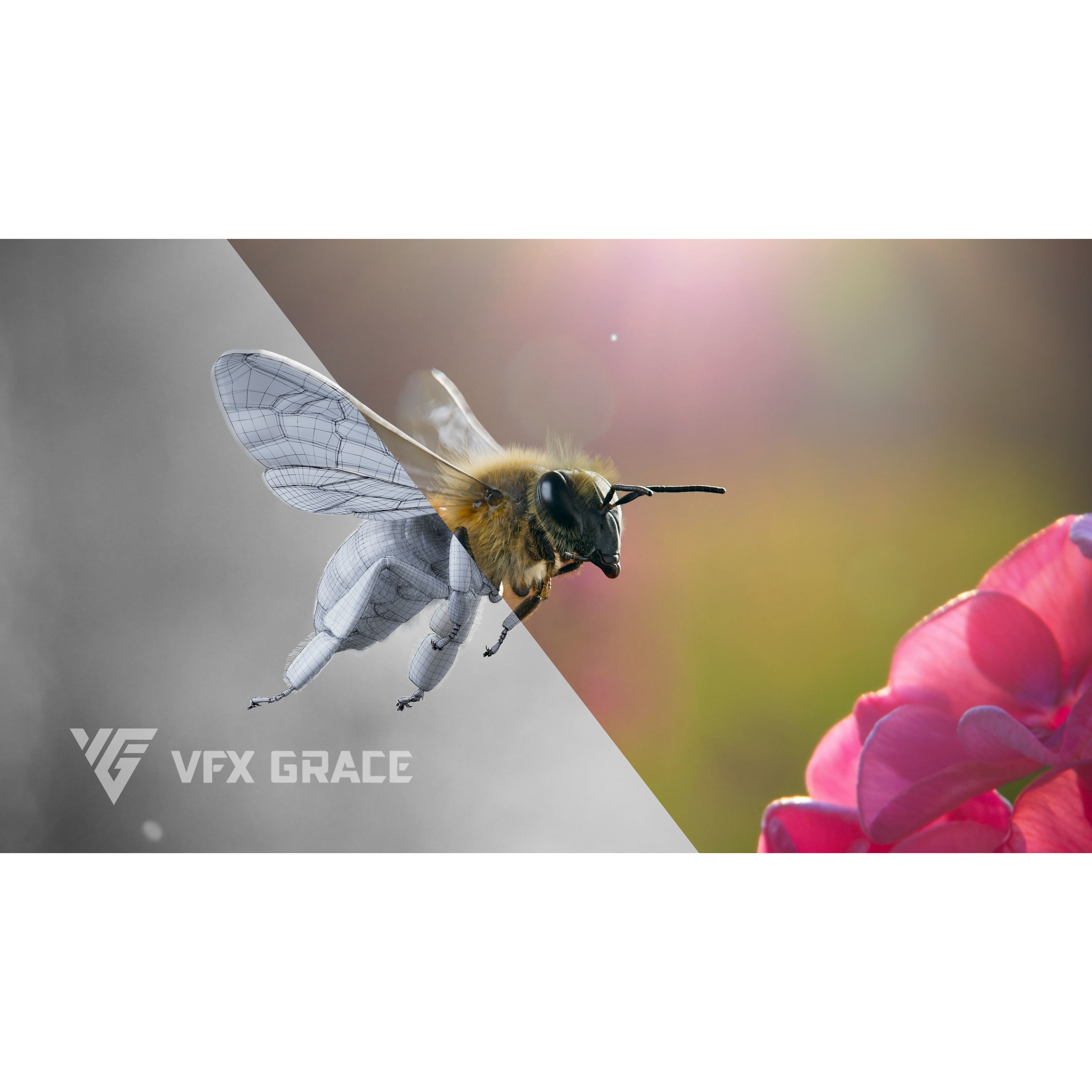 Honey bee Rig - MAYA 3D model 4