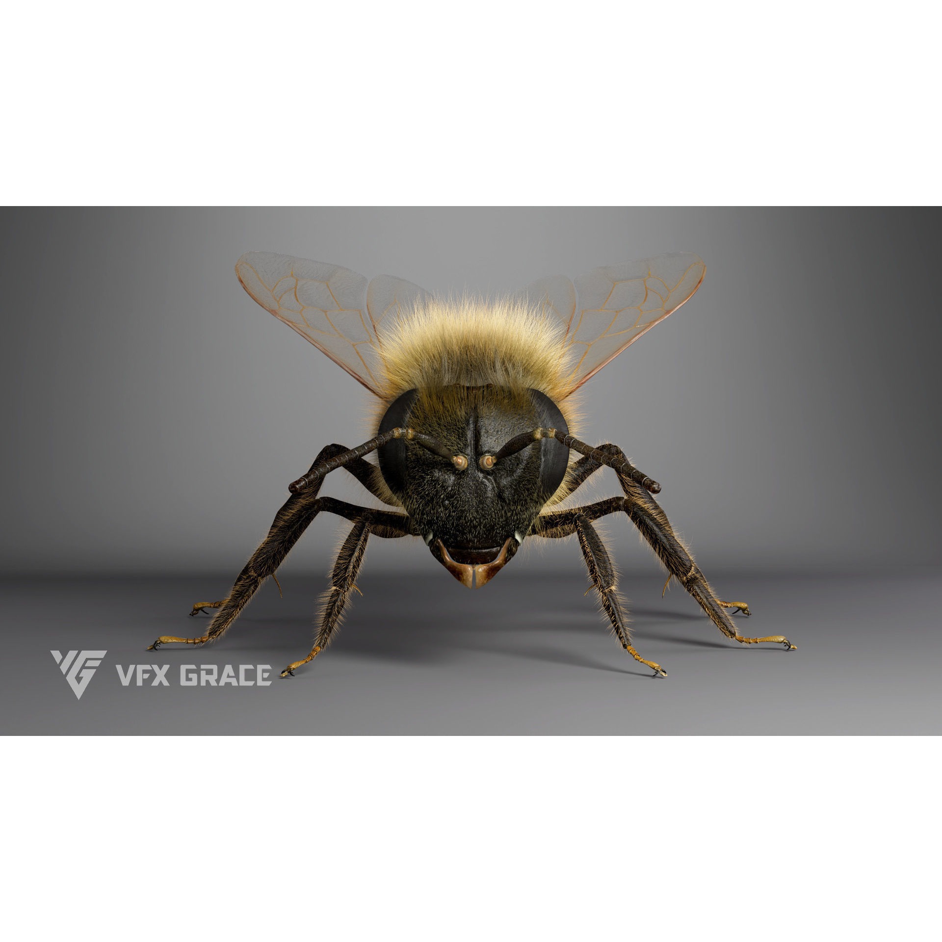Honey bee Rig - MAYA 3D model 9