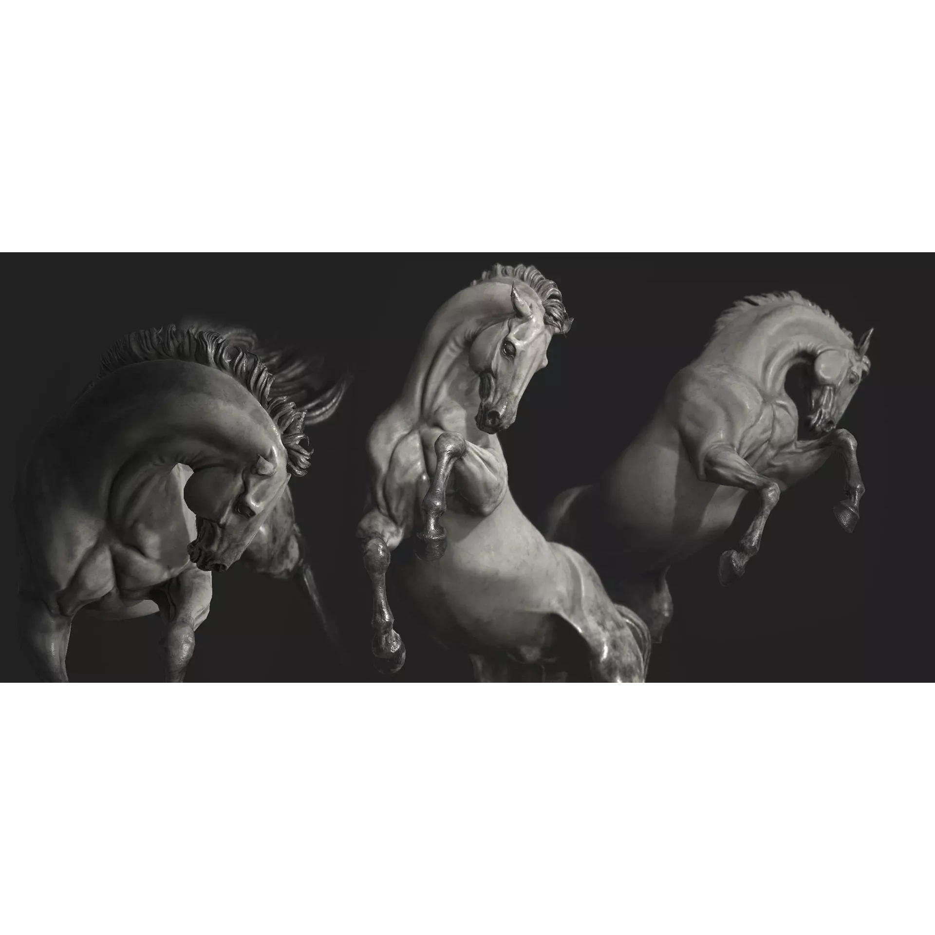 Horse - 3D Sculpting - High Poly 3D print model