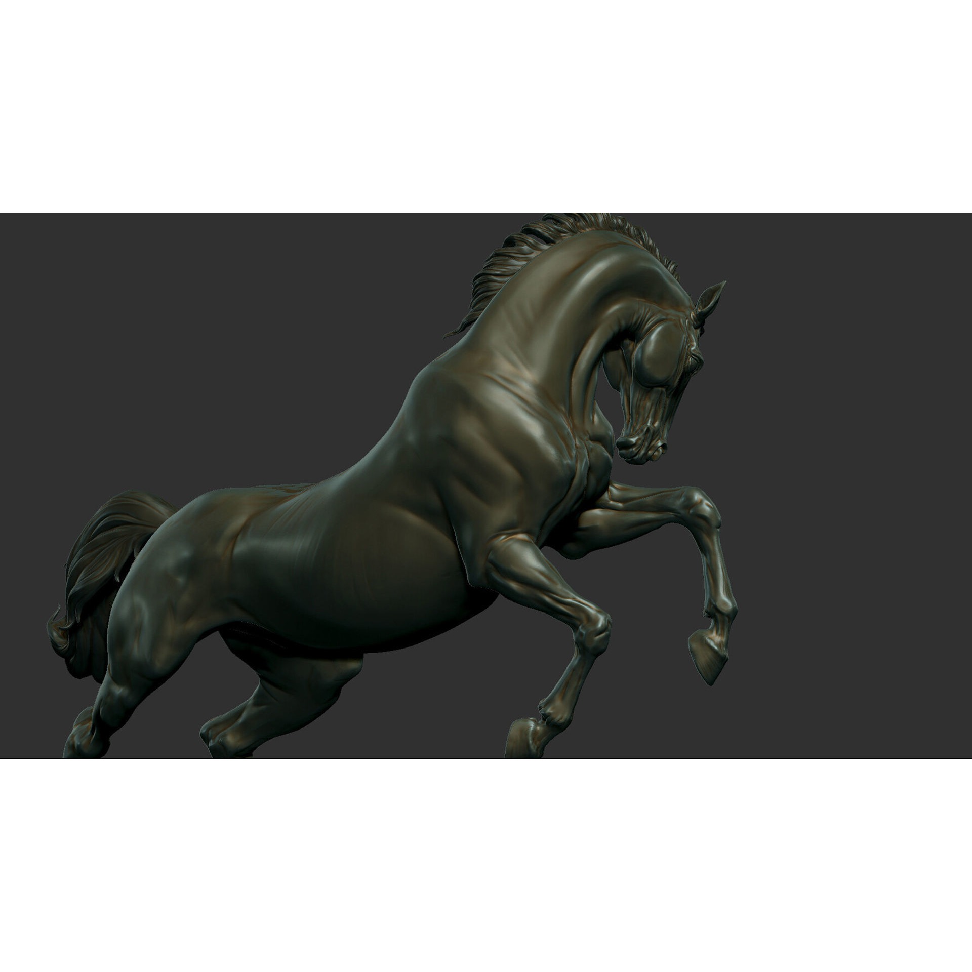 Horse - 3D Sculpting - High Poly 3D print model 3