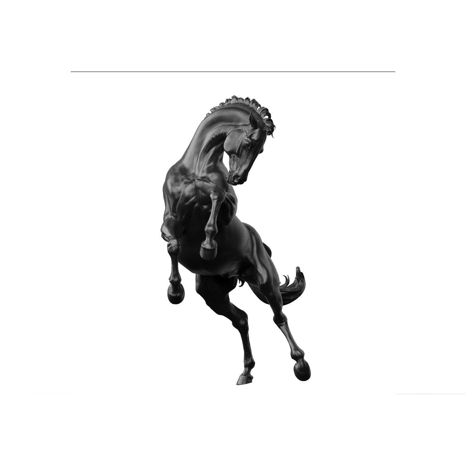 Horse - 3D Sculpting - High Poly 3D print model 9
