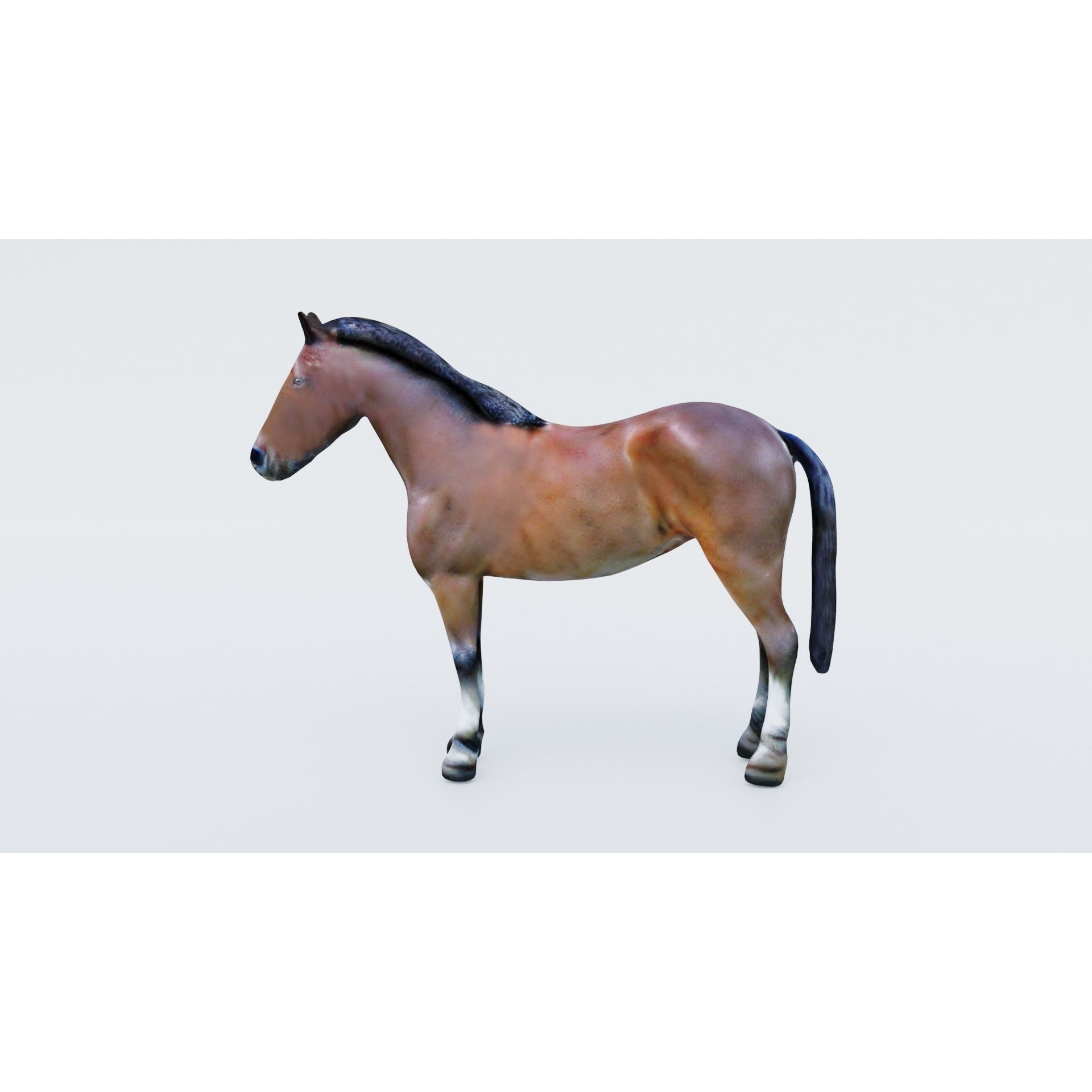 Horse Free 3D model 2
