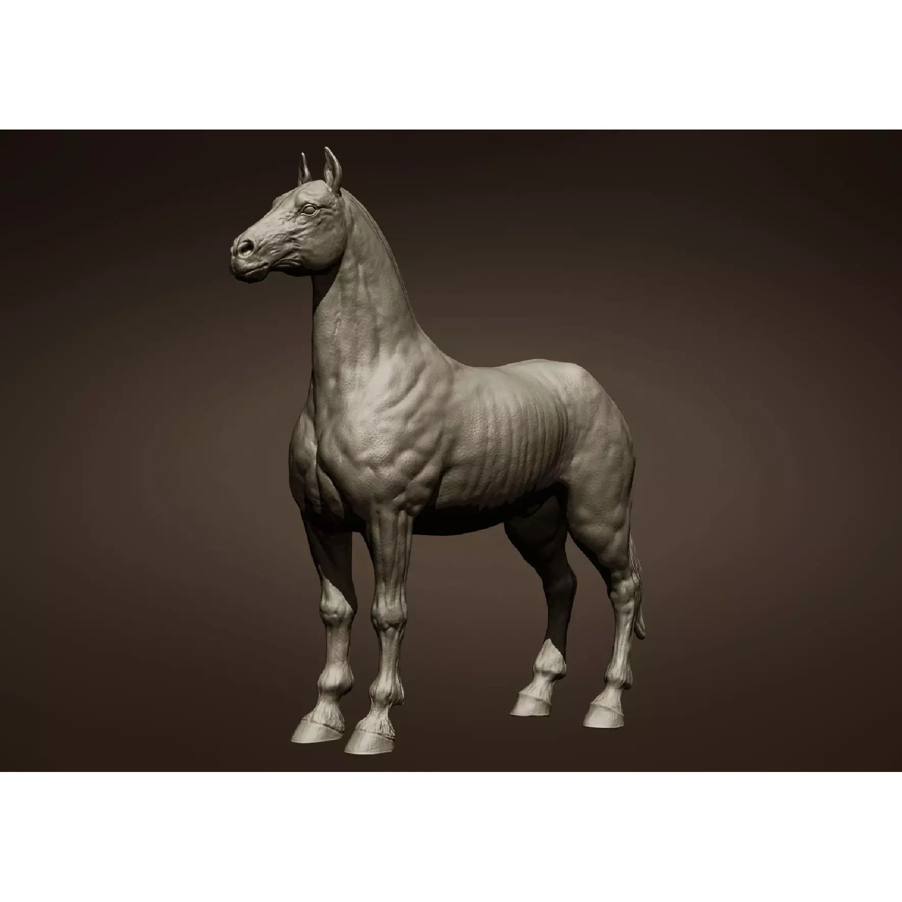 Horse Free 3D model (2)