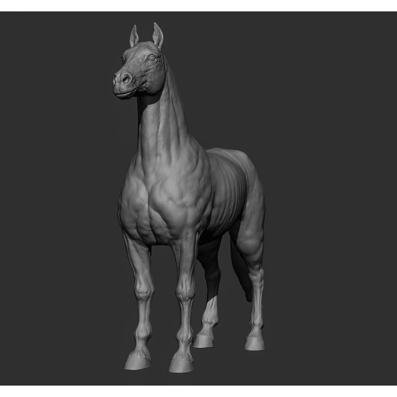 Horse Free 3D model (2) 2