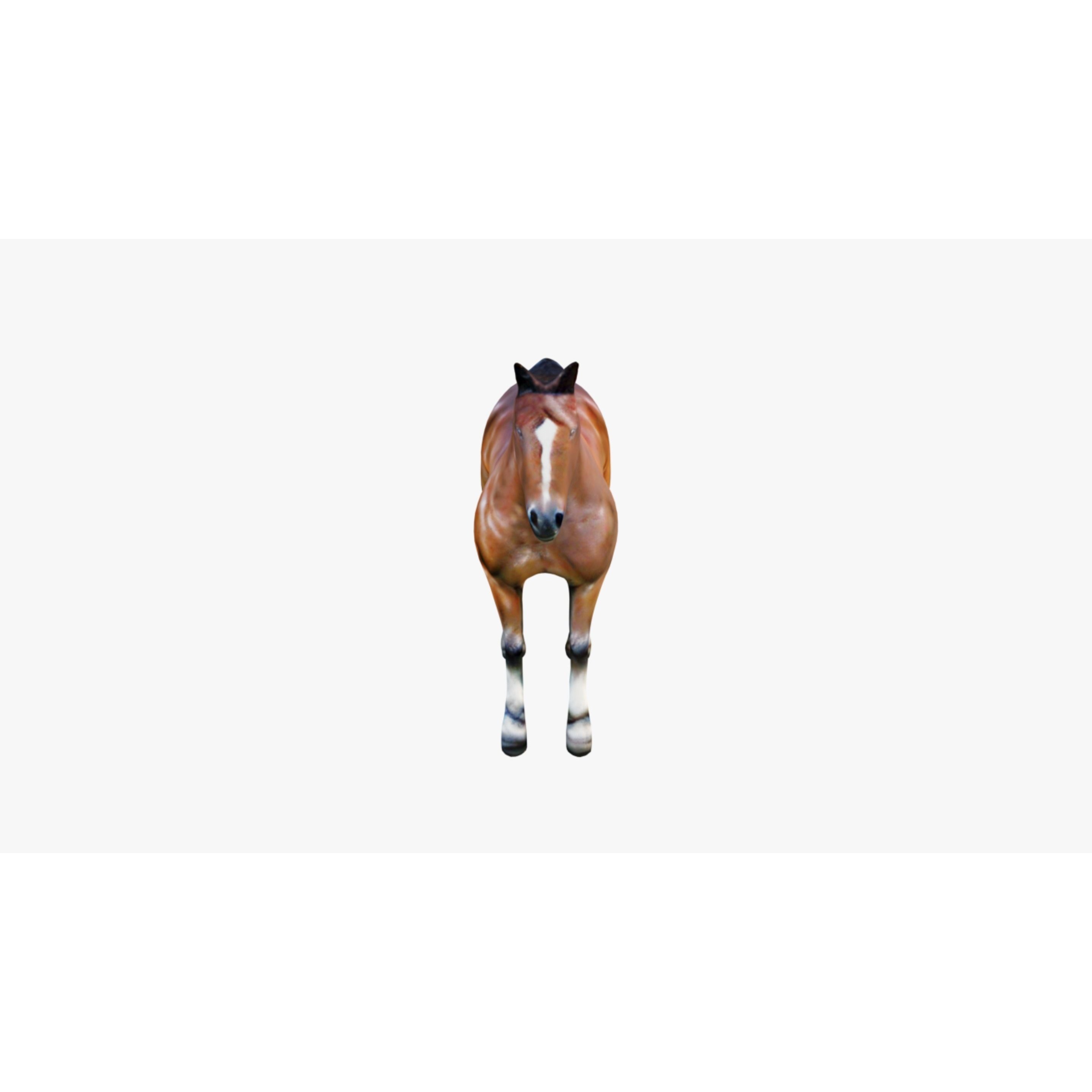 Horse Free 3D model 3