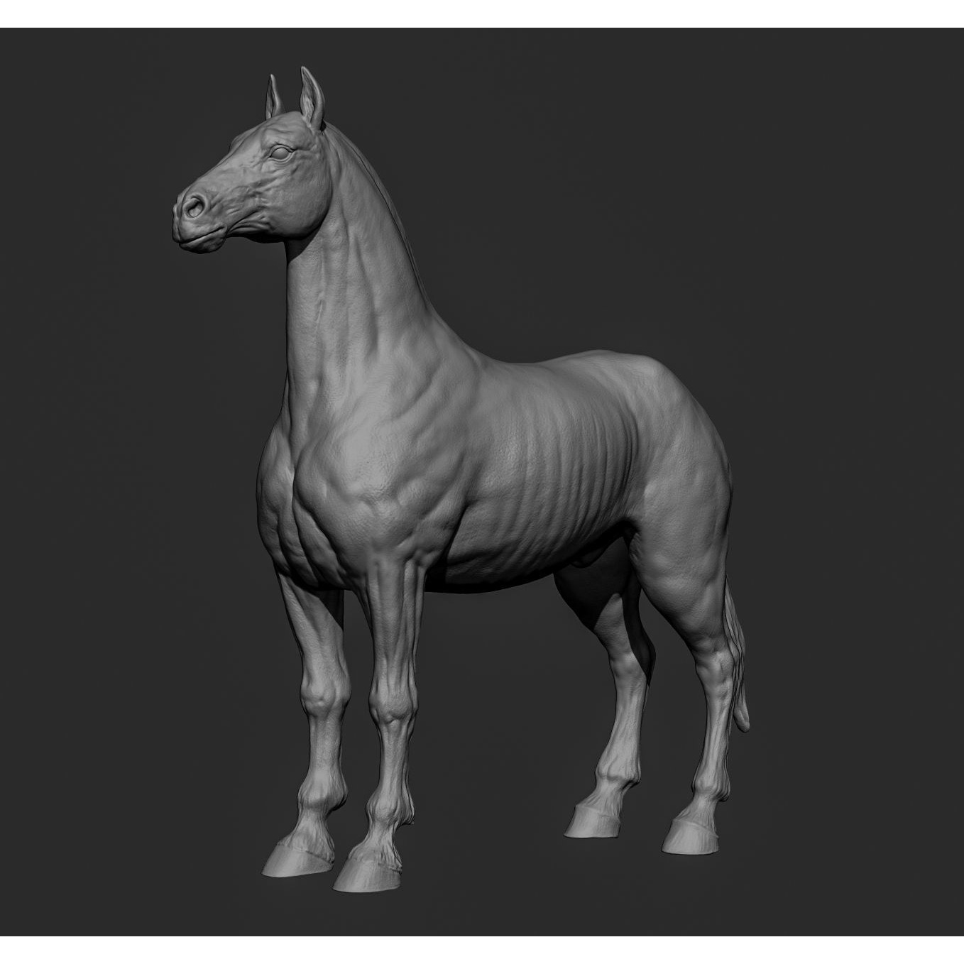 Horse Free 3D model (2) 3
