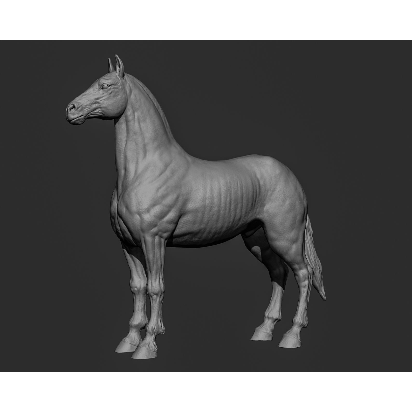 Horse Free 3D model (2) 4