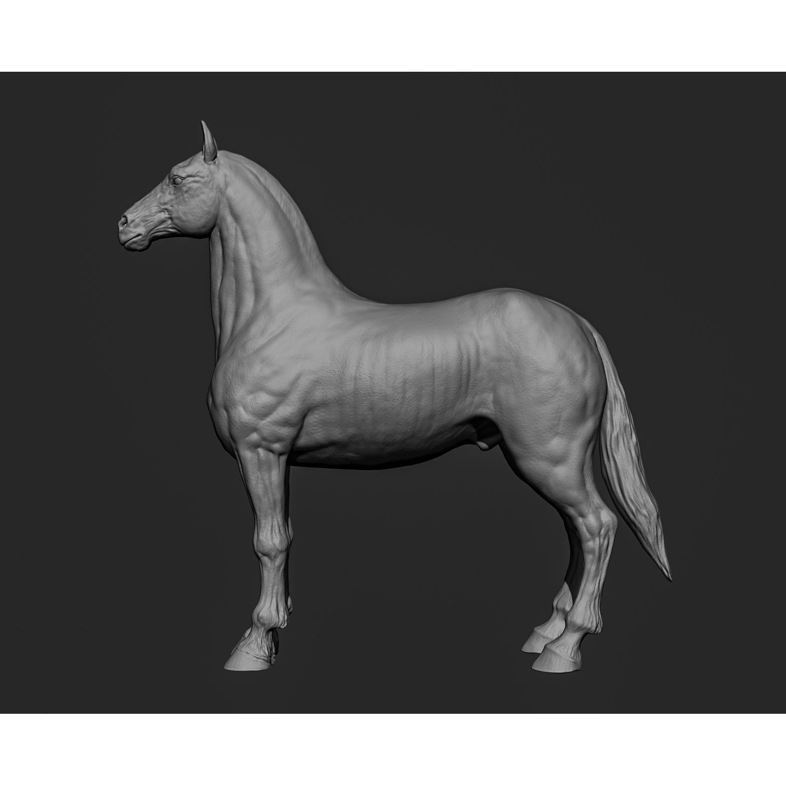 Horse Free 3D model (2) 5