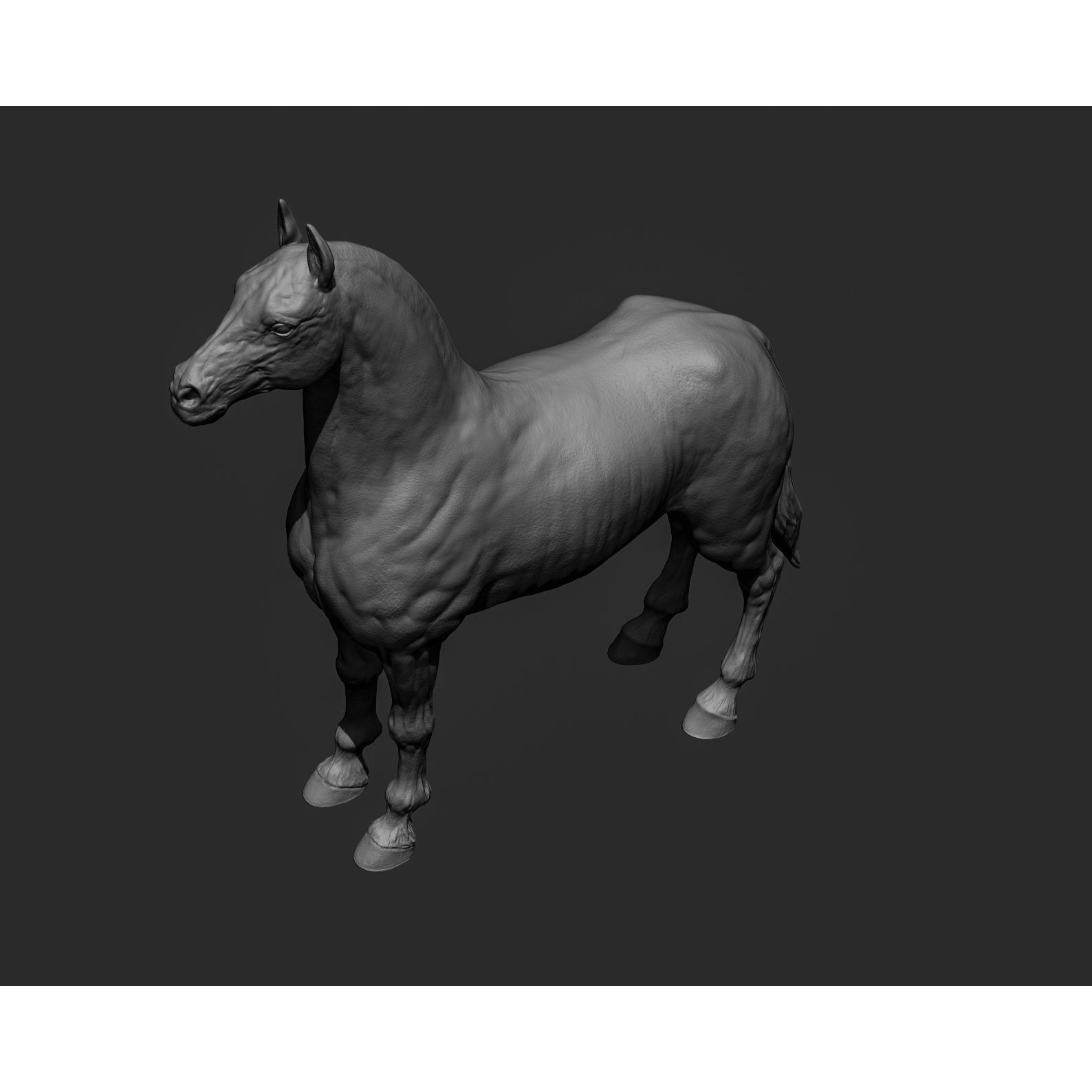 Horse Free 3D model (2) 6