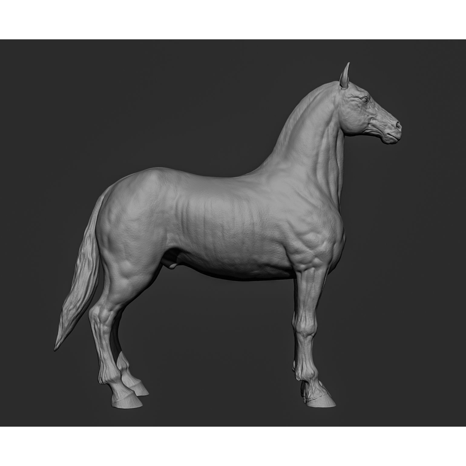 Horse Free 3D model (2) 8