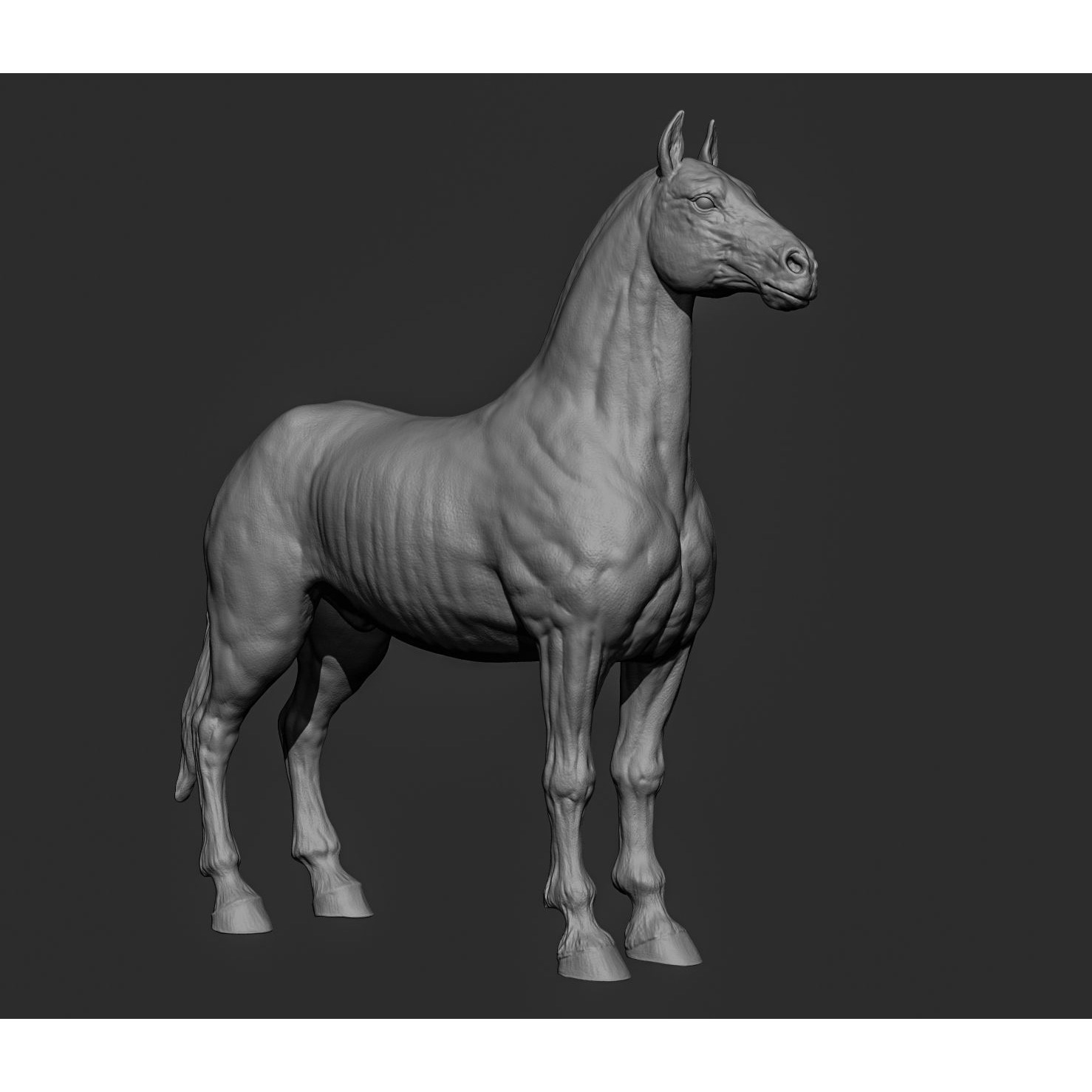 Horse Free 3D model (2) 9