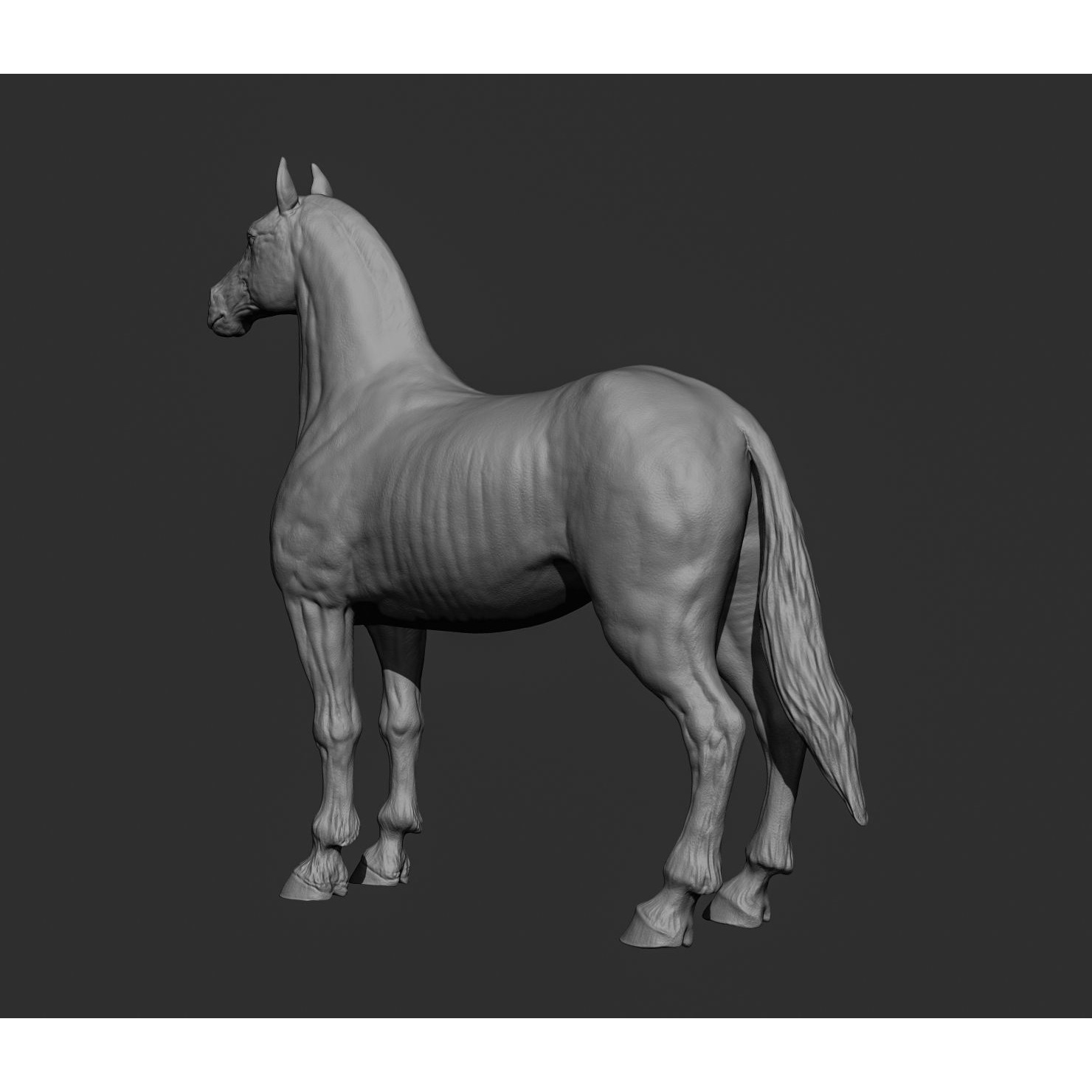 Horse Free 3D model (2) 10
