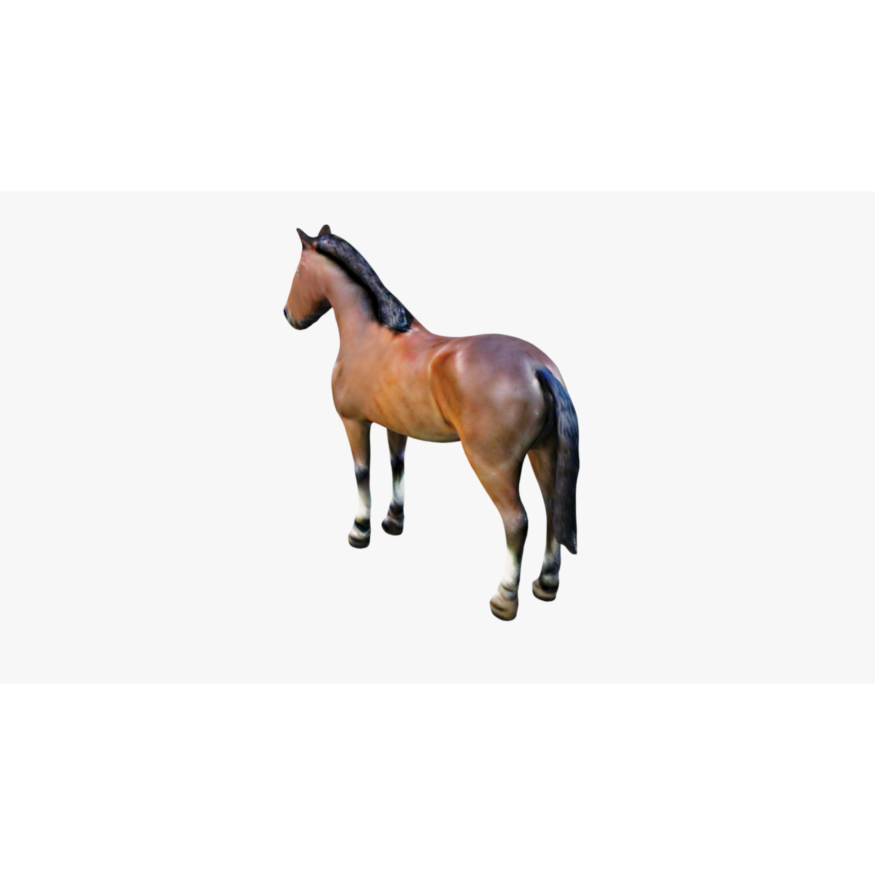 Horse Free 3D model 4