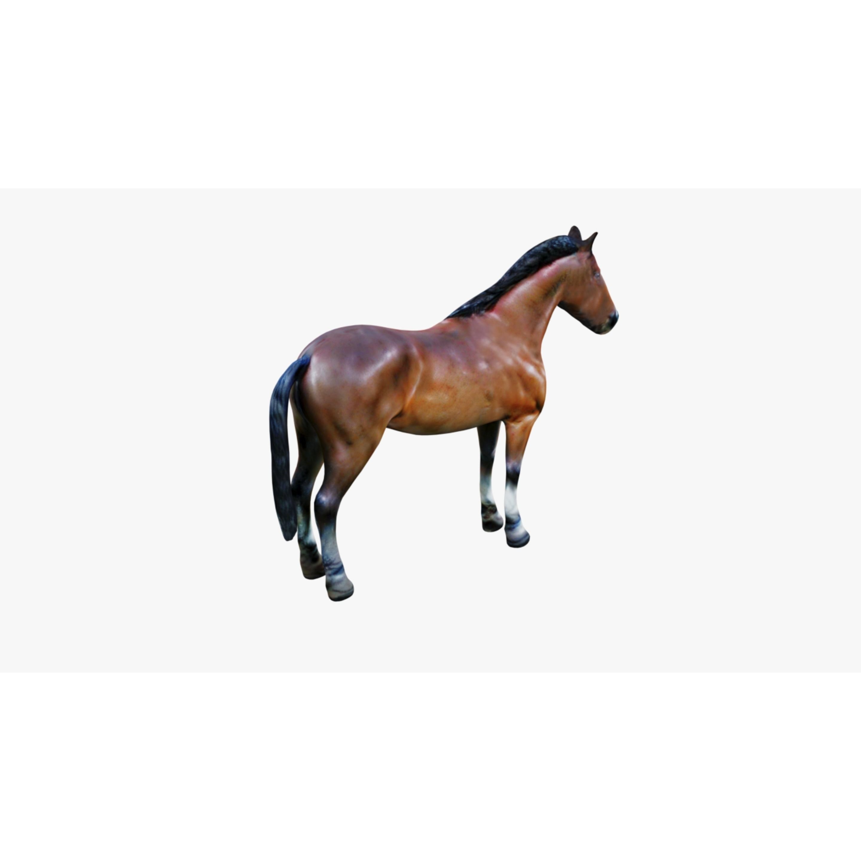 Horse Free 3D model 5