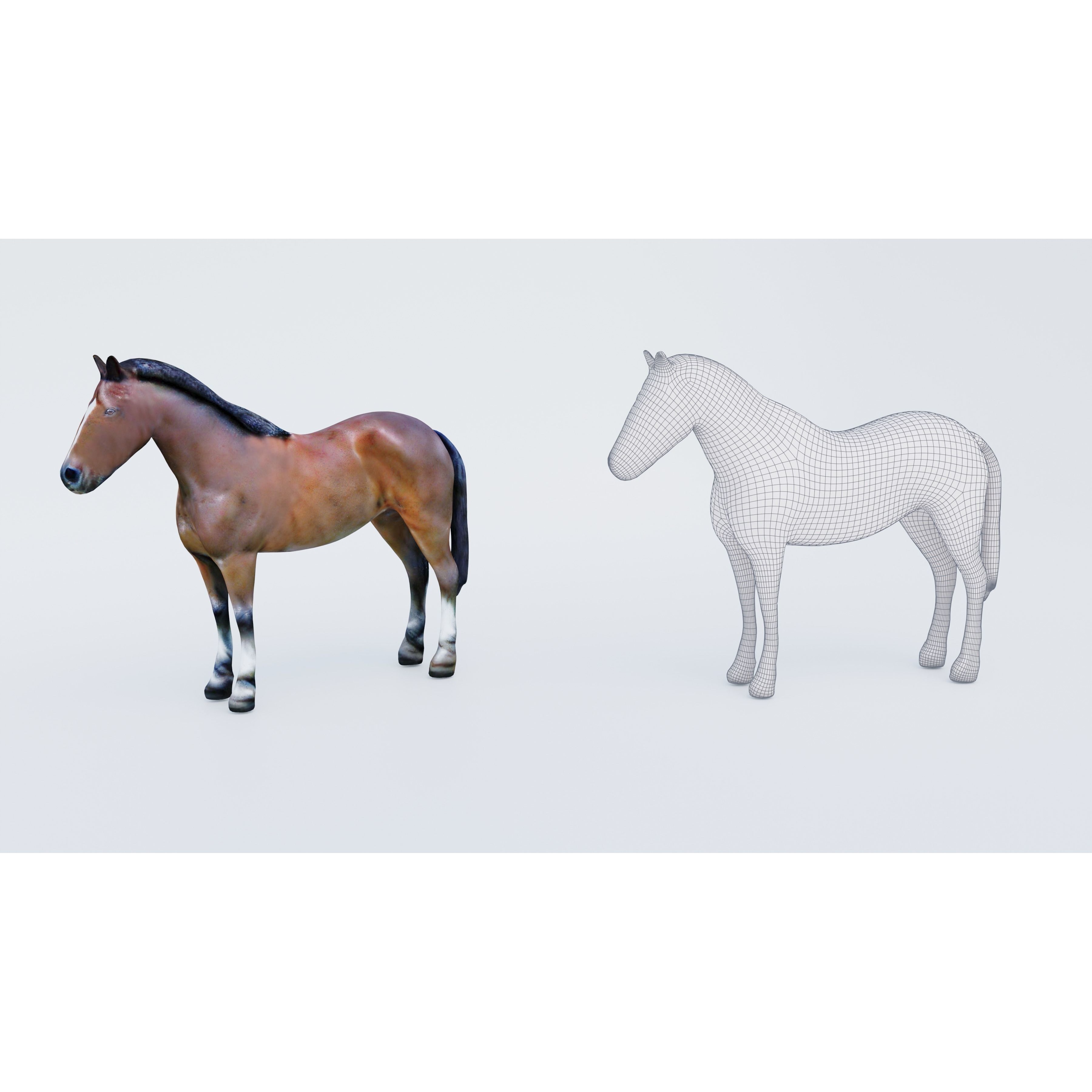 Horse Free 3D model 6
