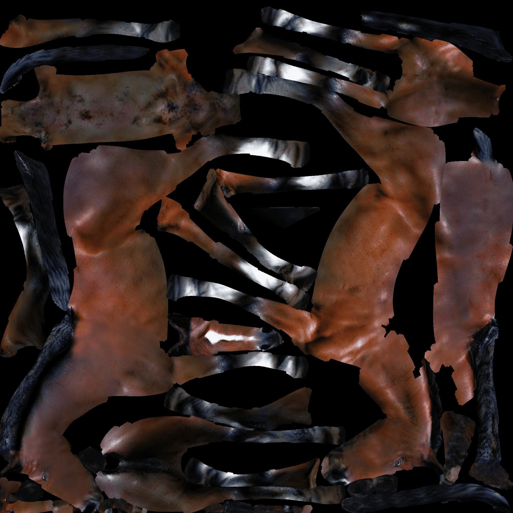 Horse Free 3D model 8