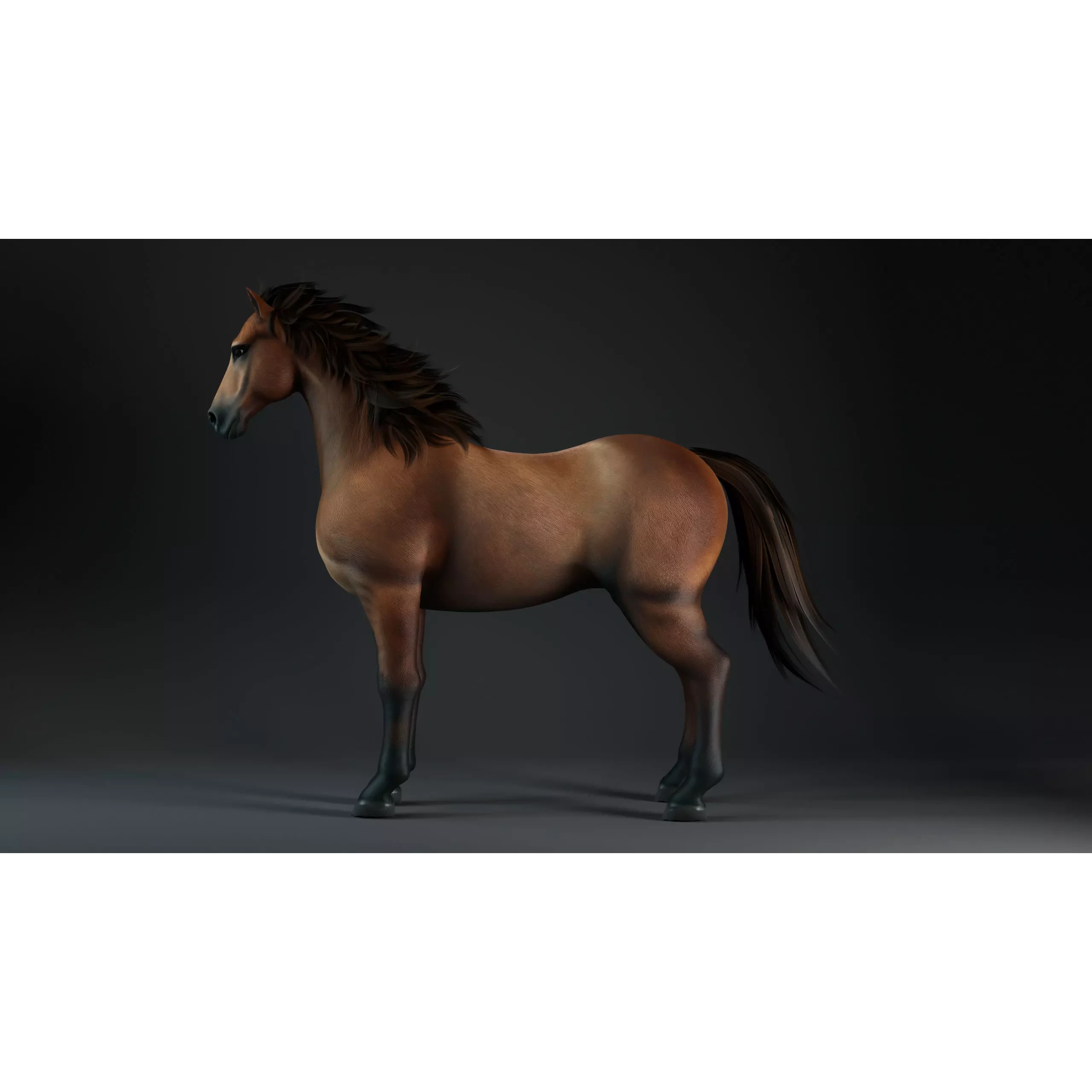 Horse-G1 3D model 2
