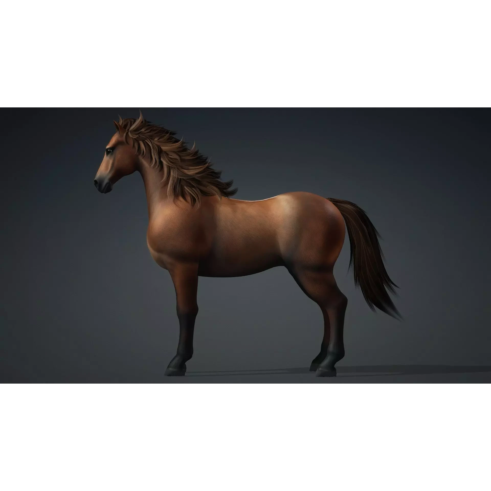 Horse-G1 3D model 3