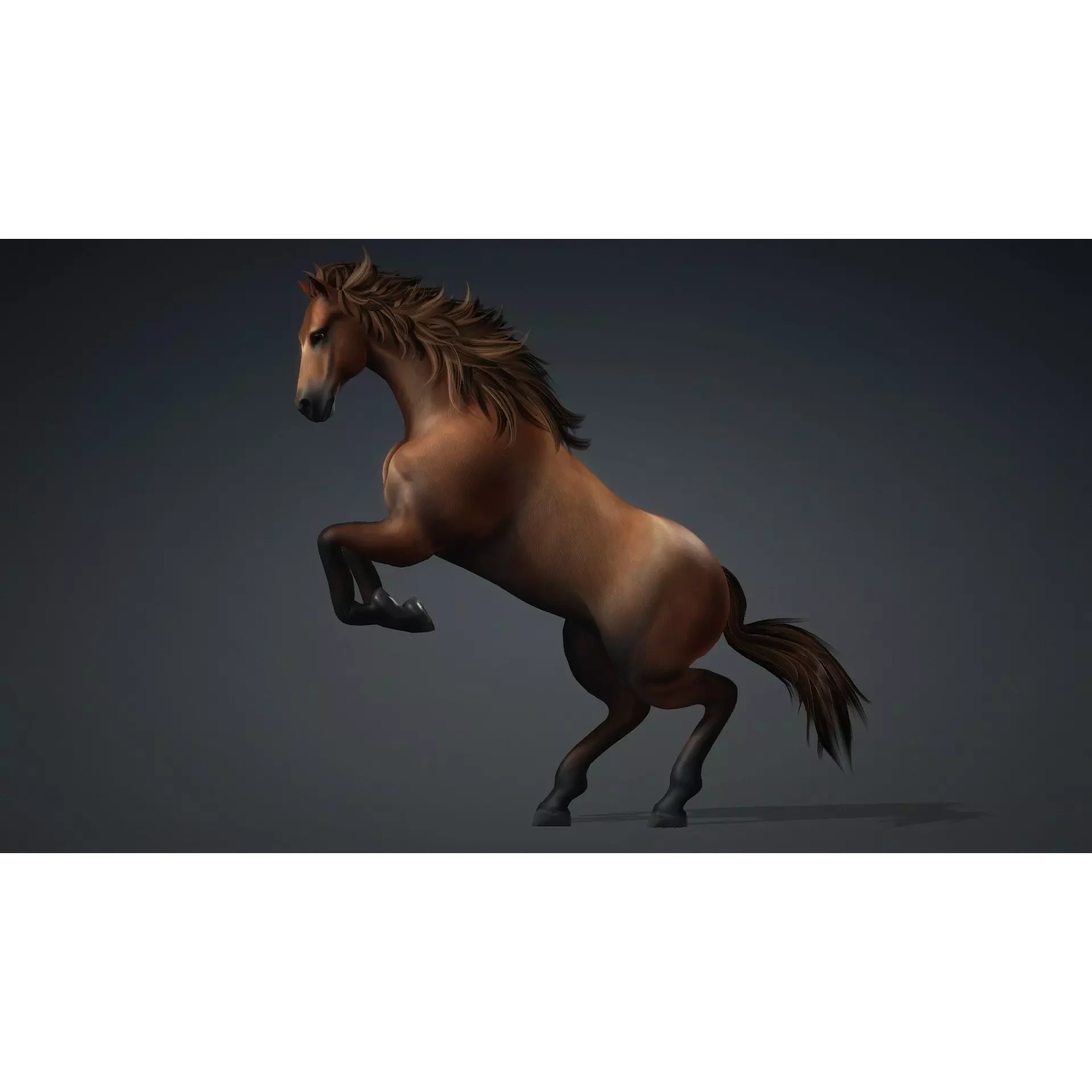 Horse-G1 3D model 4