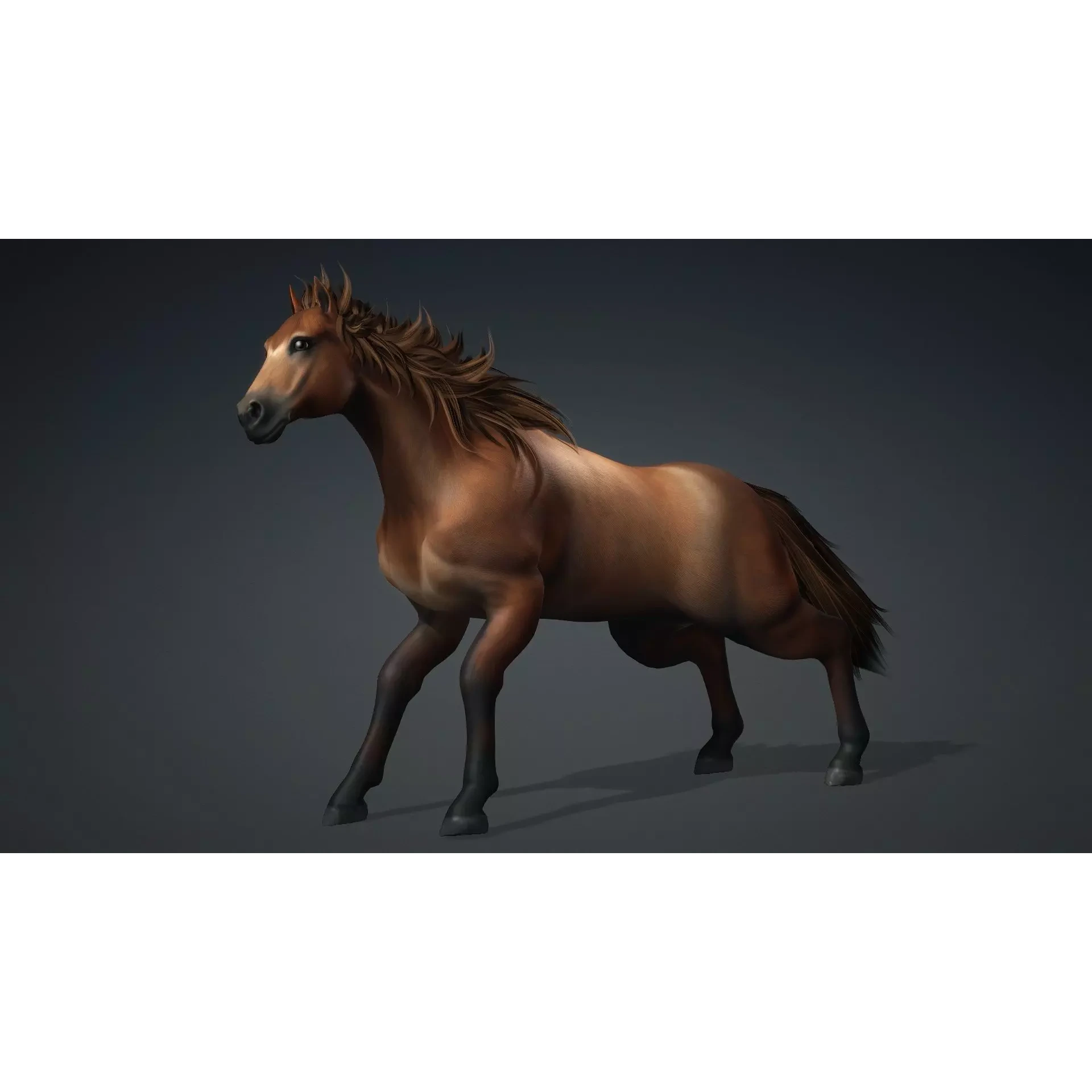 Horse-G1 3D model 5