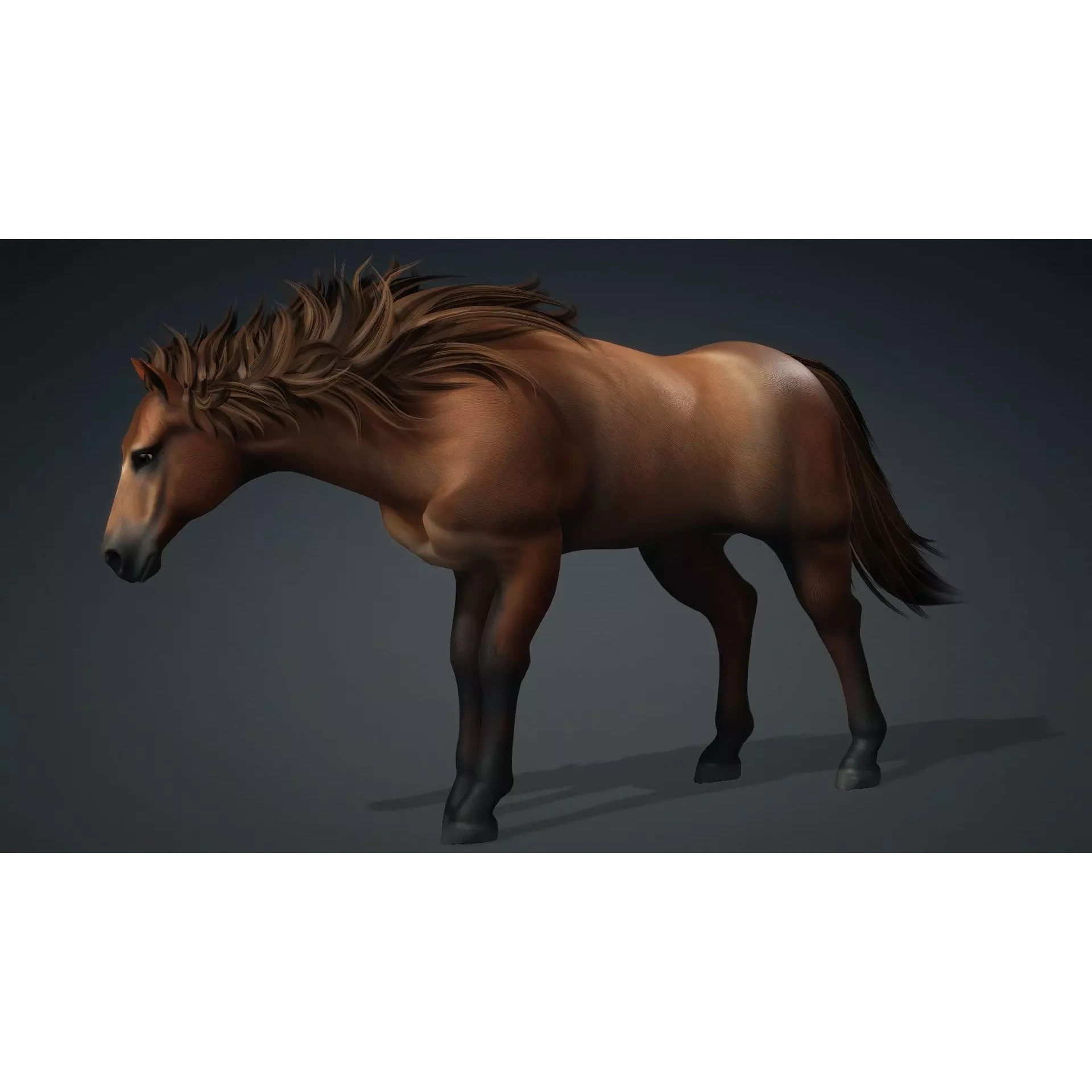 Horse-G1 3D model 6
