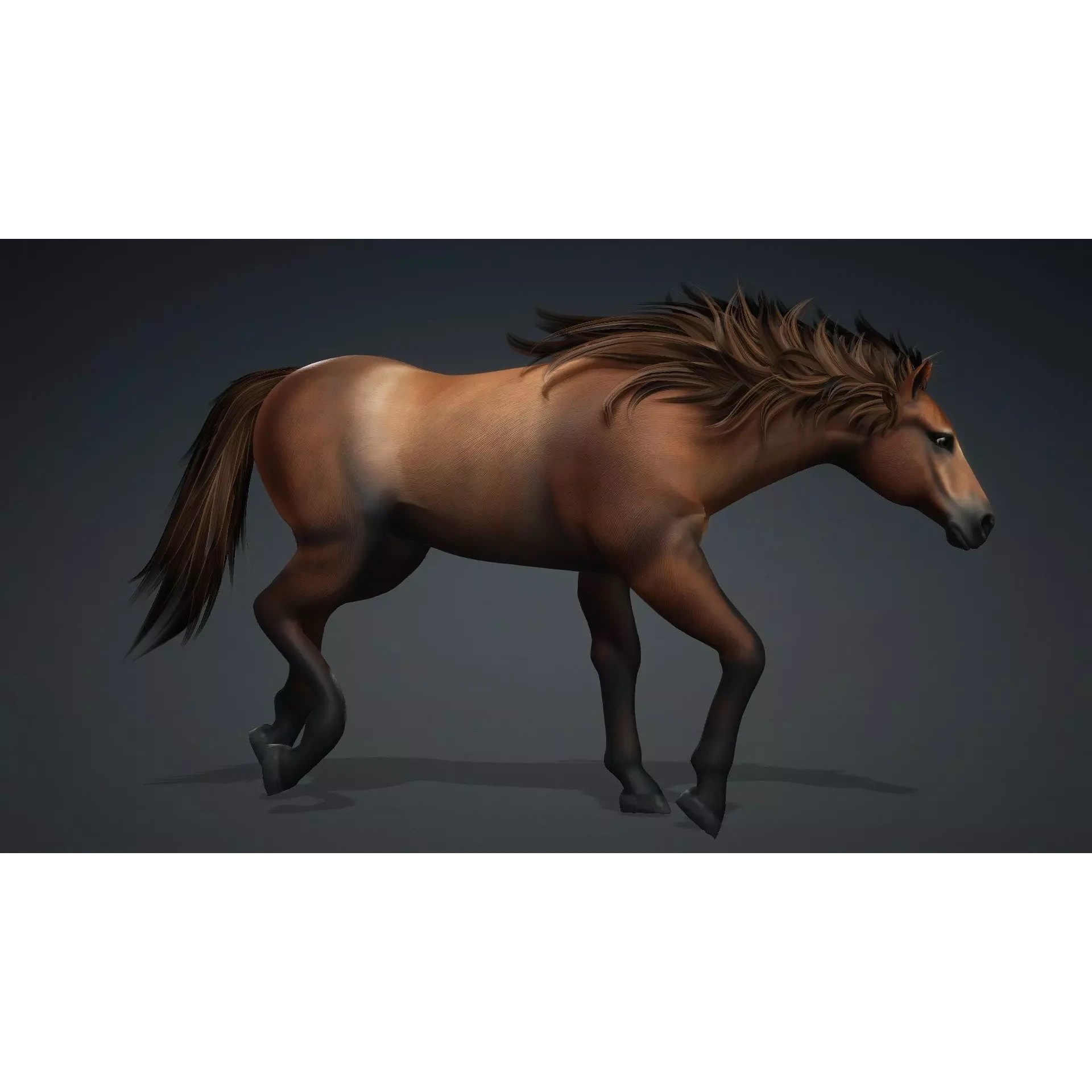 Horse-G1 3D model 7