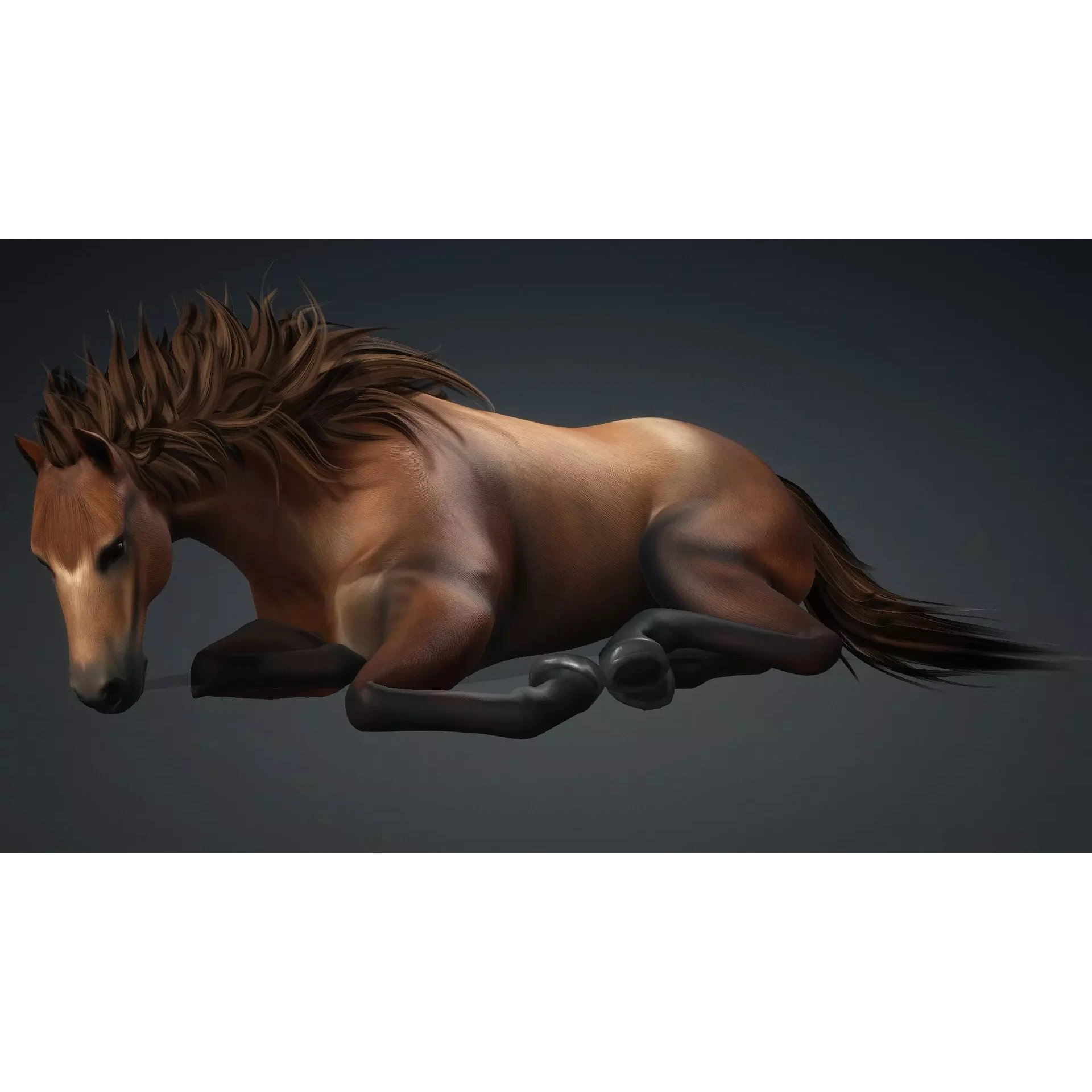 Horse-G1 3D model 8