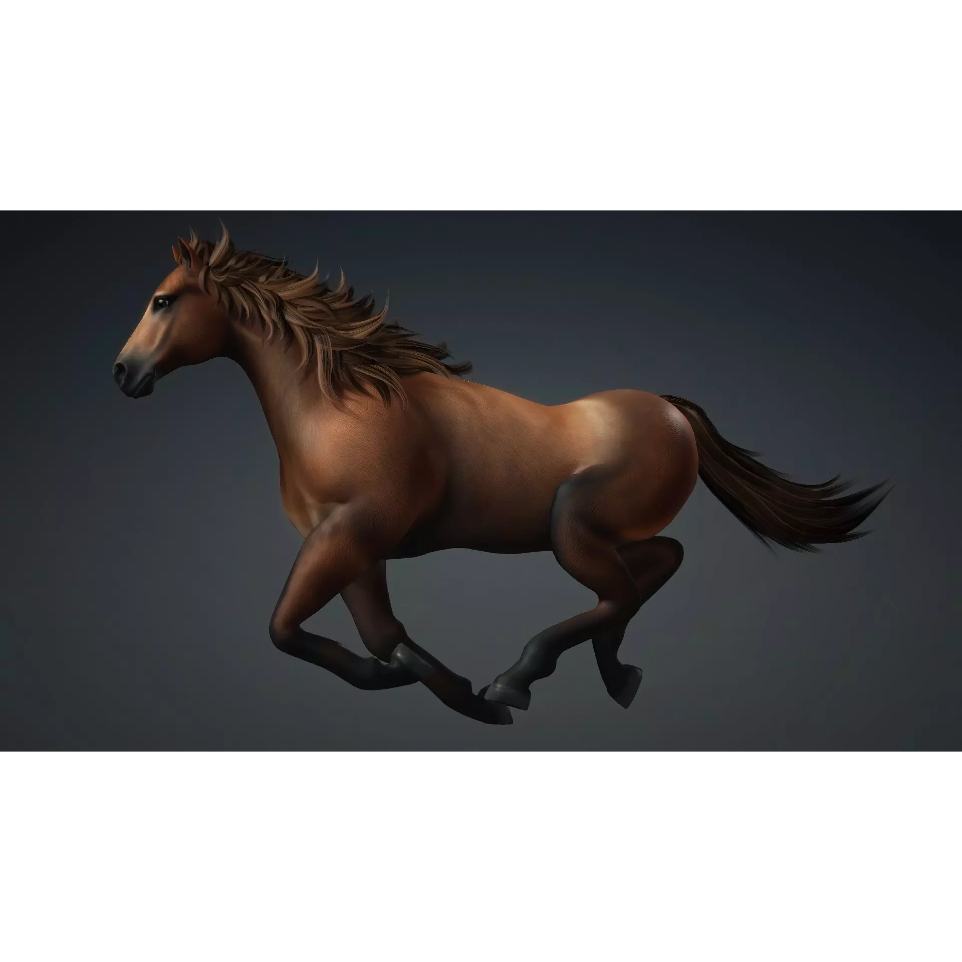 Horse-G1 3D model 9