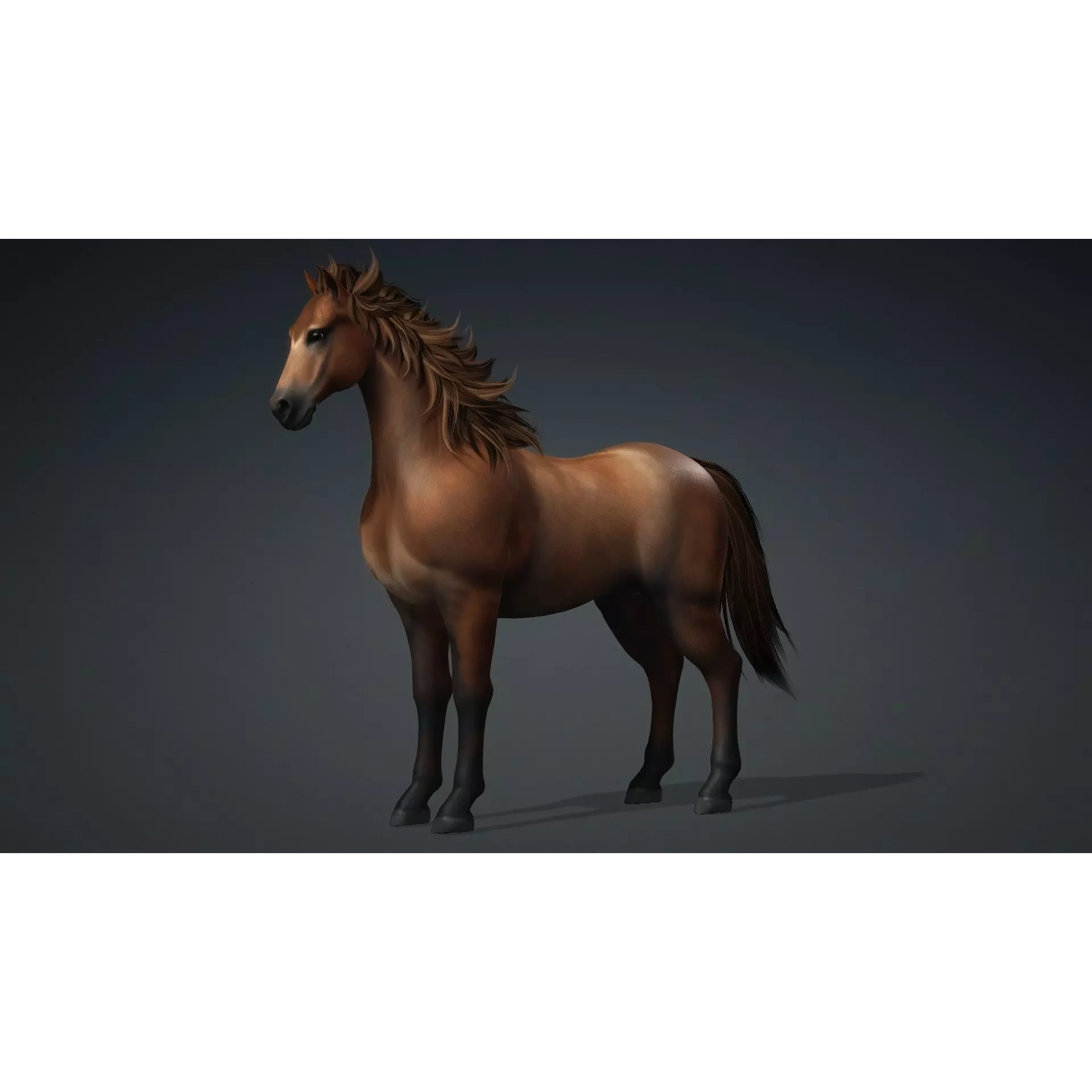 Horse-G1 3D model 10