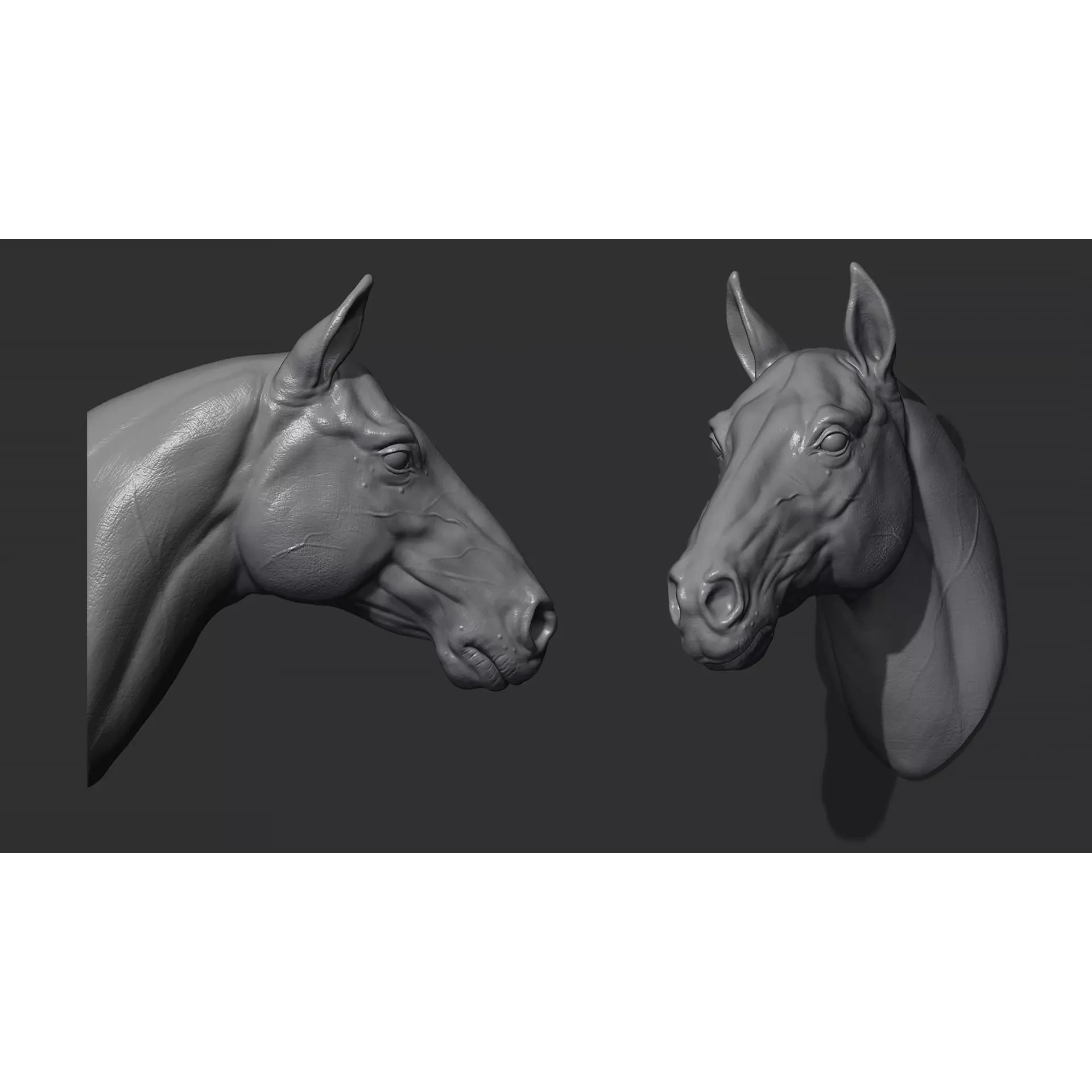 Horse head 3D print model