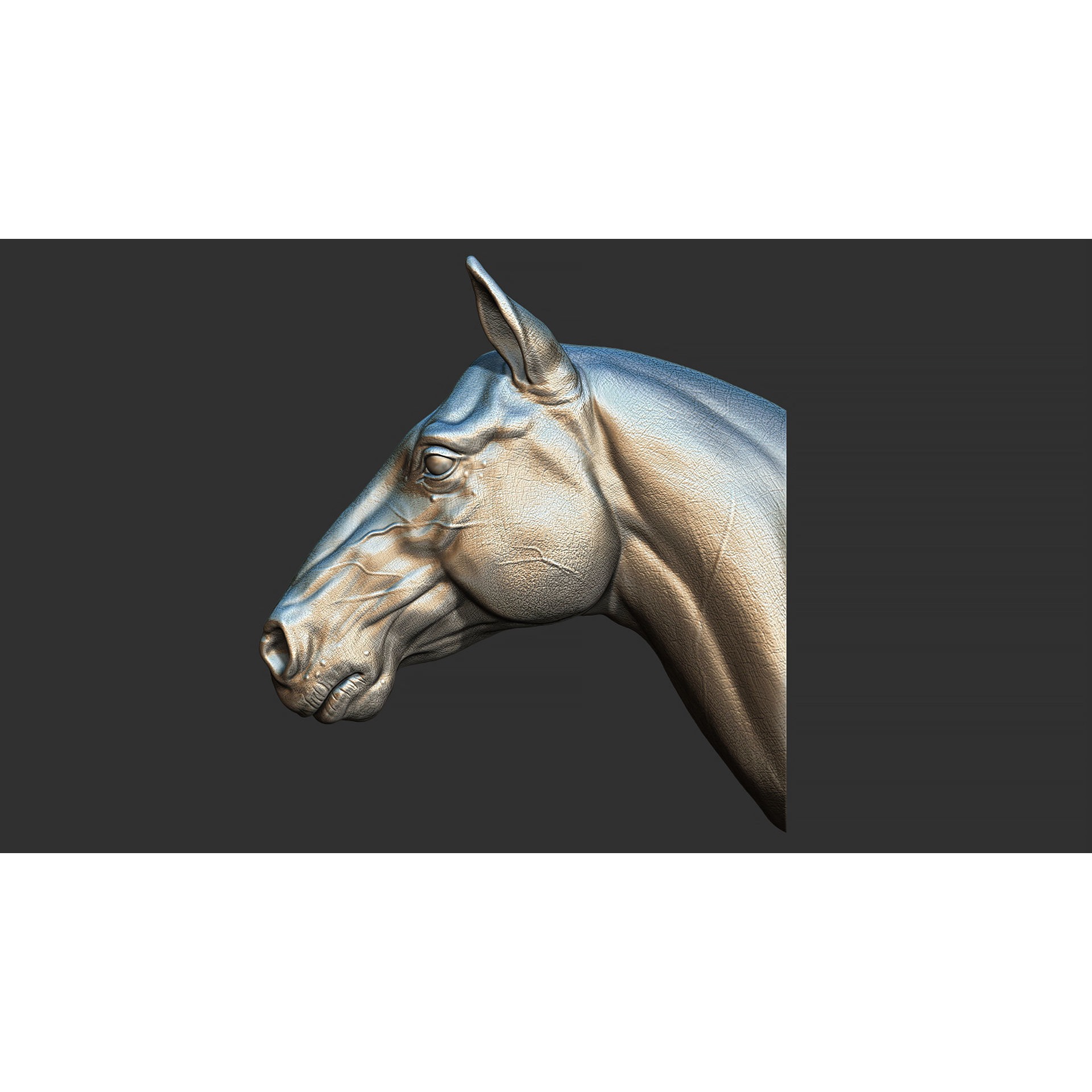 Horse head 3D print model 2