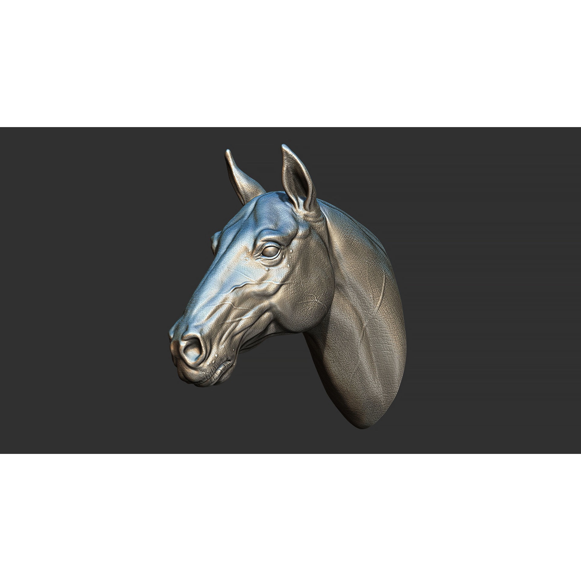 Horse head 3D print model 3