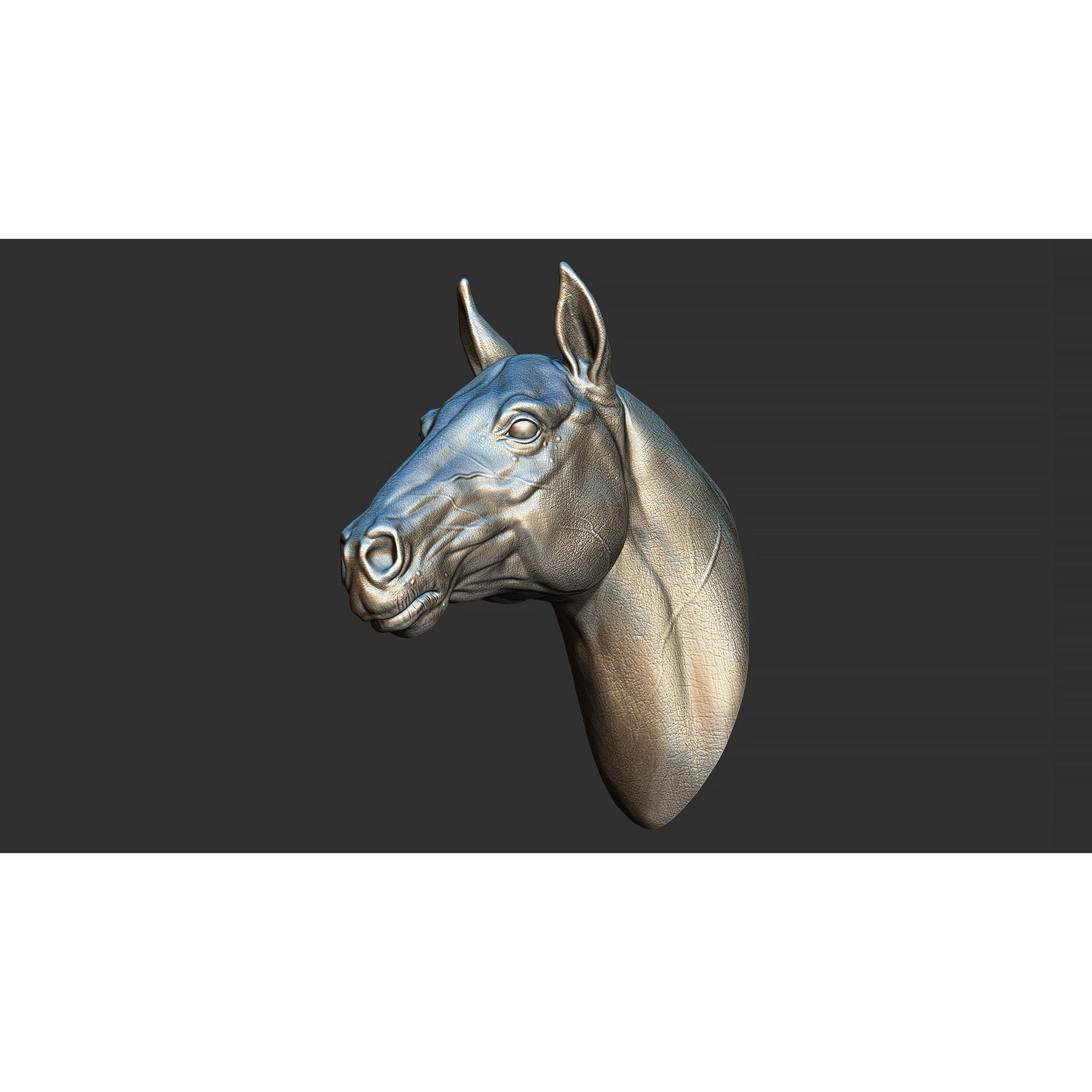 Horse head 3D print model 4