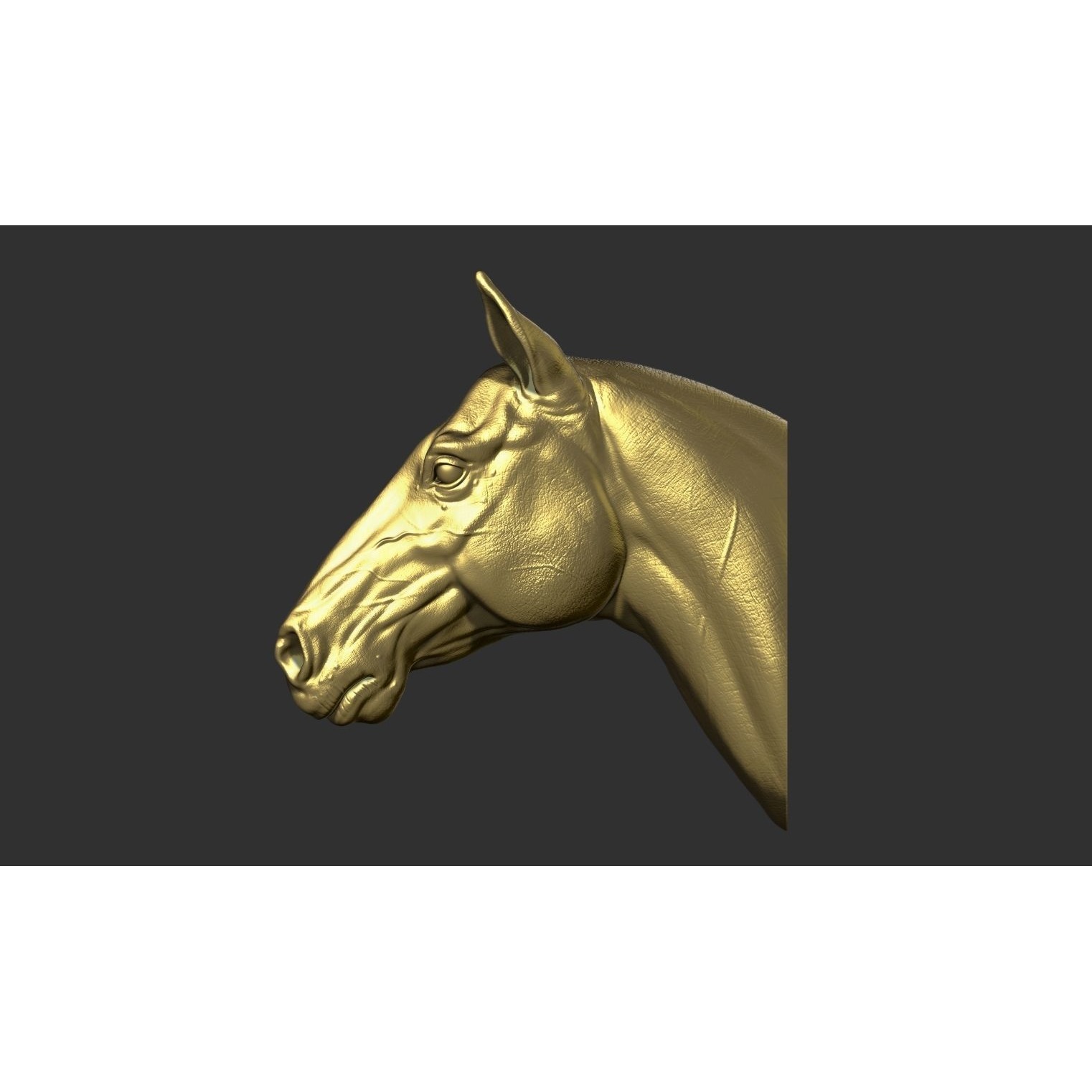 Horse head 3D print model 6