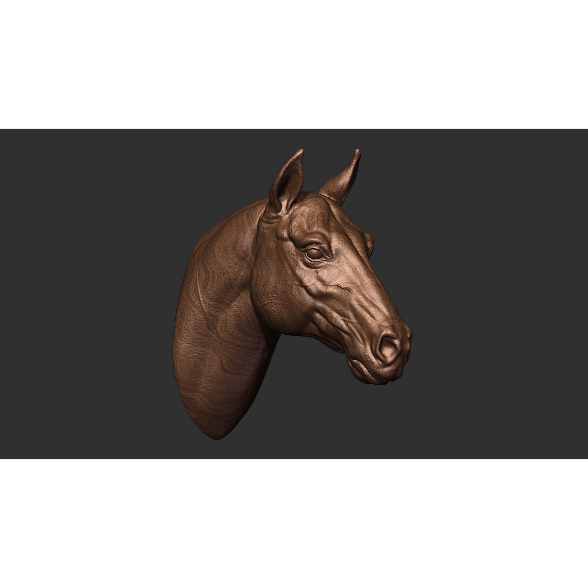 Horse head 3D print model 8