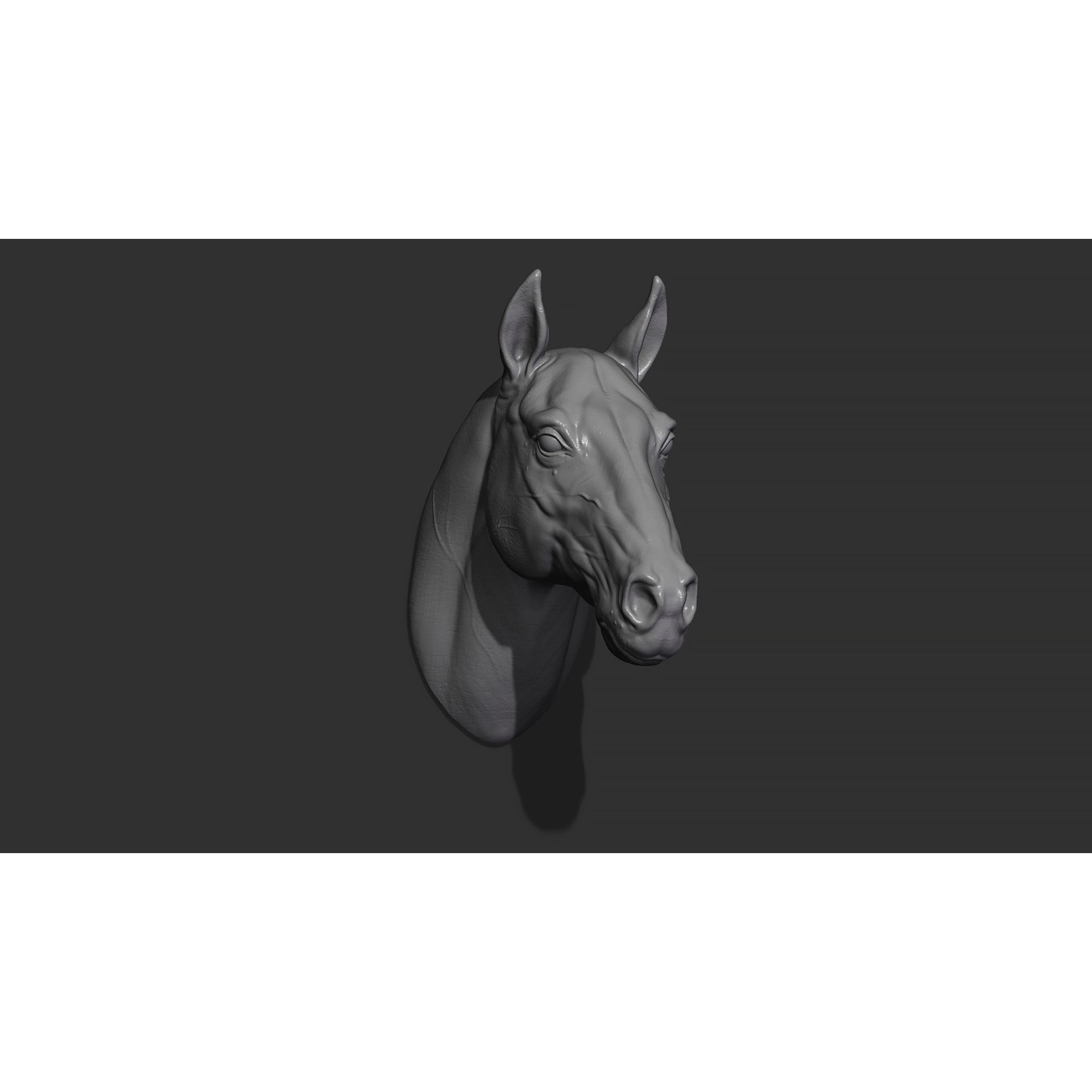 Horse head 3D print model 9