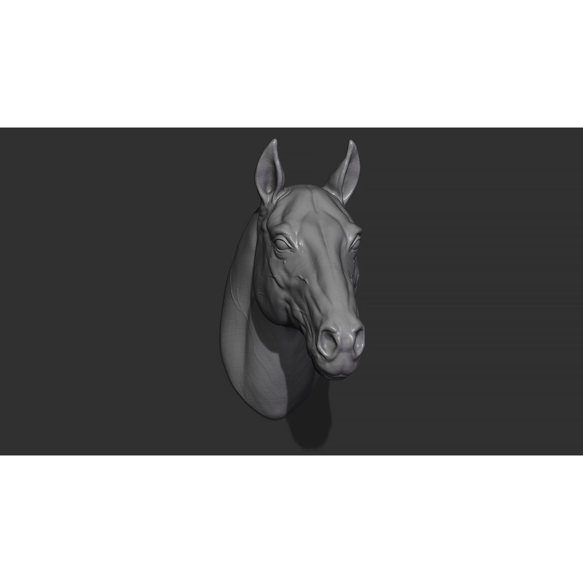 Horse head 3D print model 10