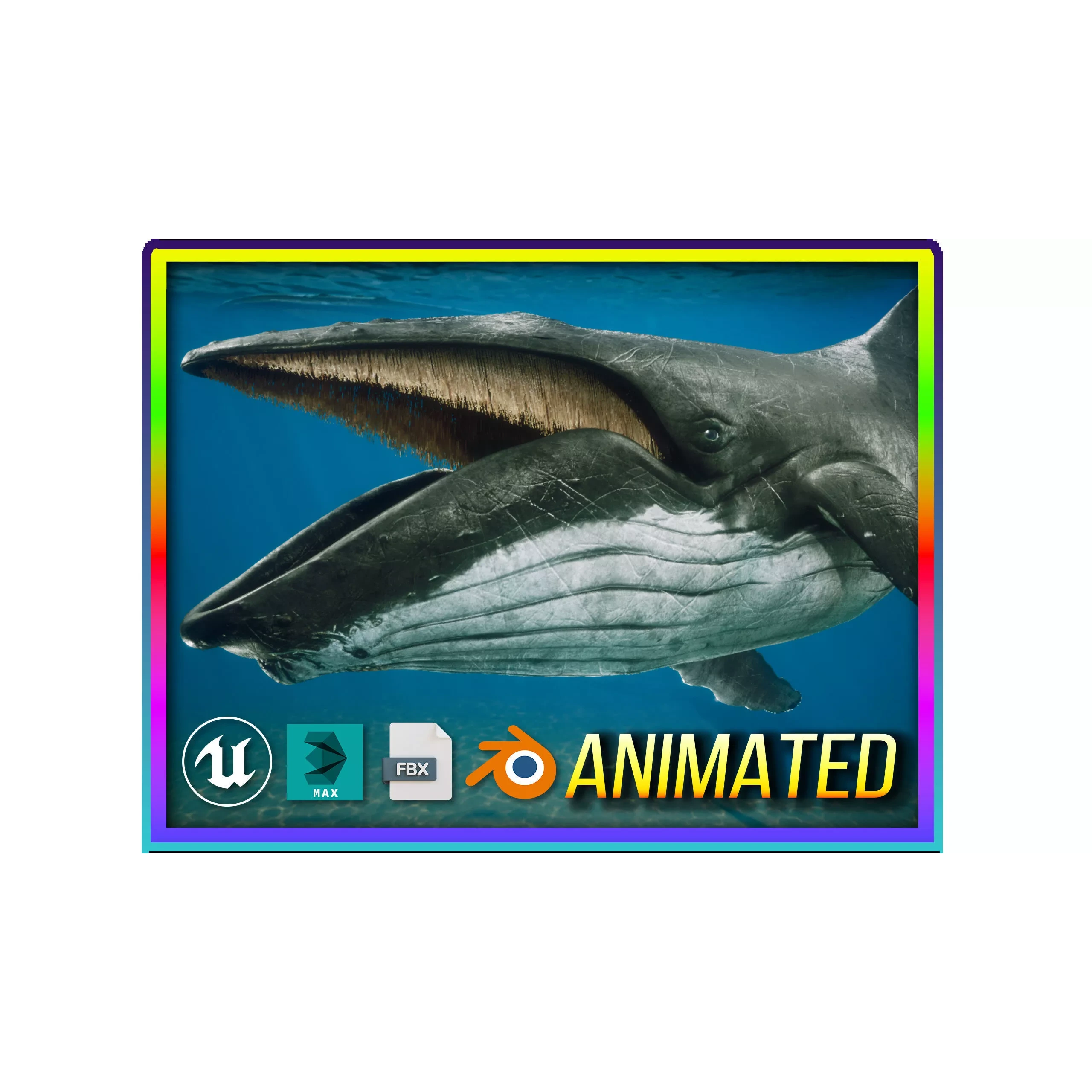 Humpback Whale Low-poly 3D model