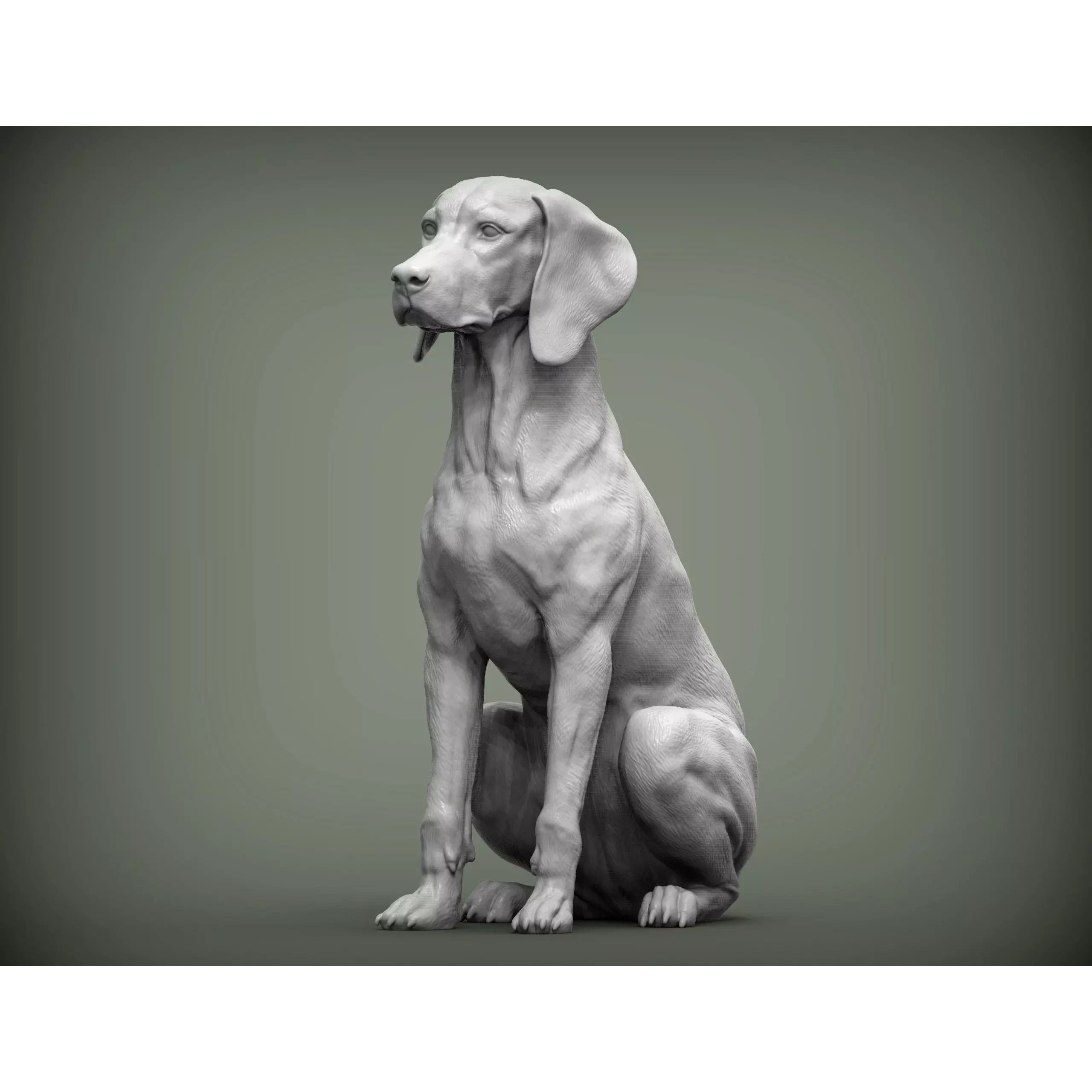 Hungarian vizsla Hungarian Pointing Dog 3D print model