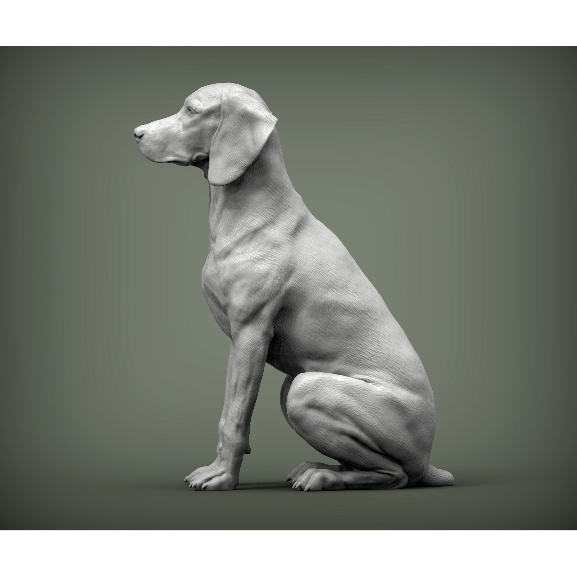 Hungarian vizsla Hungarian Pointing Dog 3D print model 2