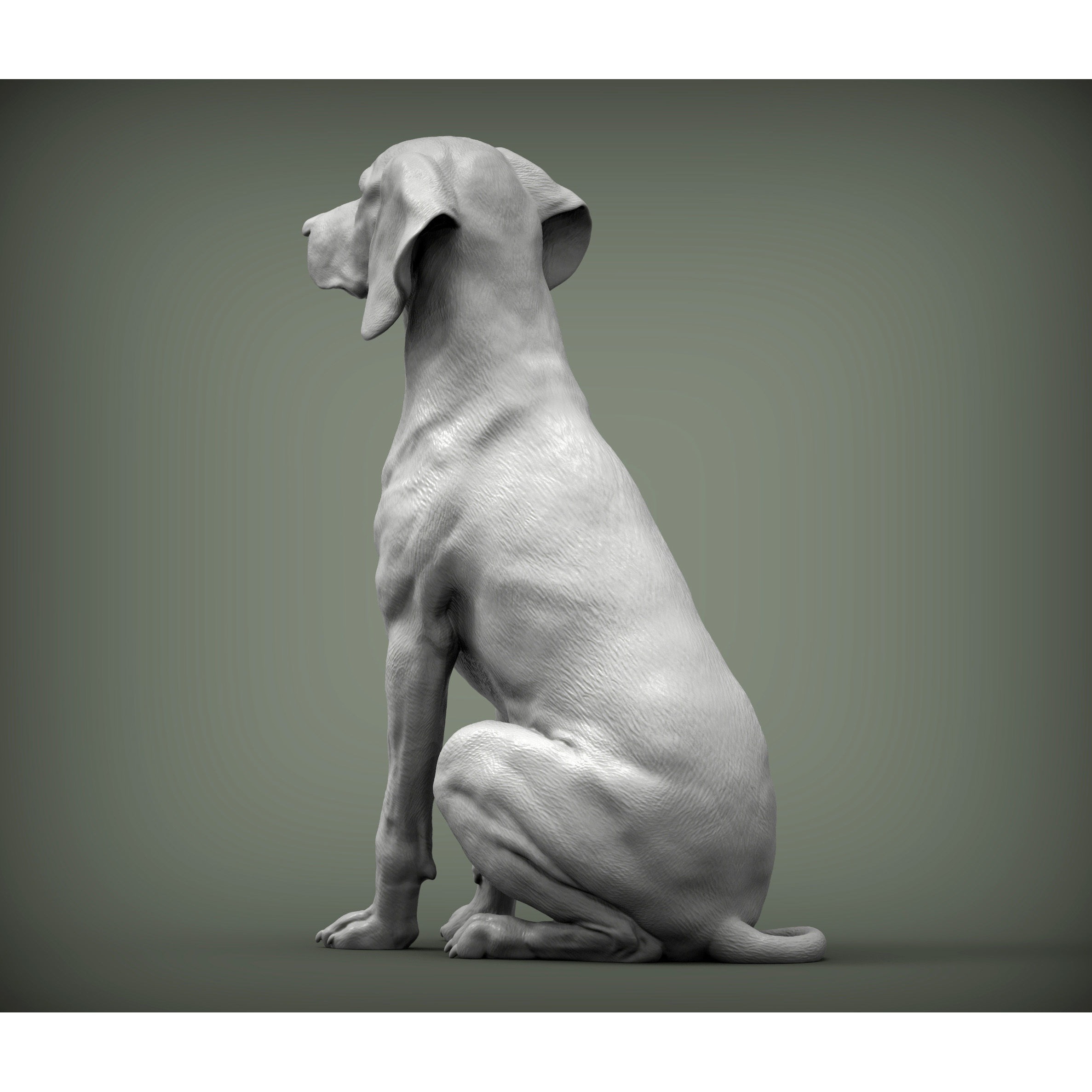 Hungarian vizsla Hungarian Pointing Dog 3D print model 3