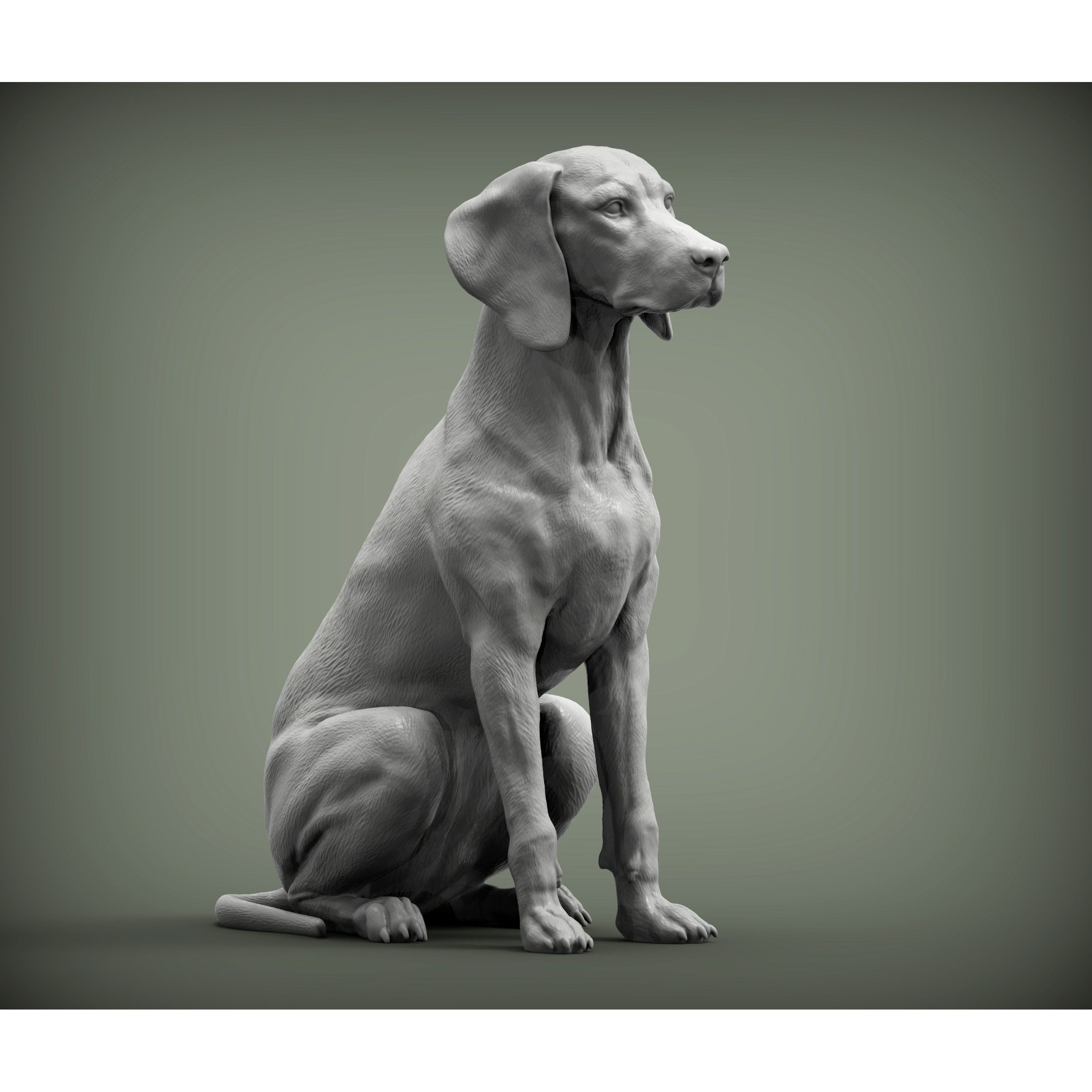 Hungarian vizsla Hungarian Pointing Dog 3D print model 4